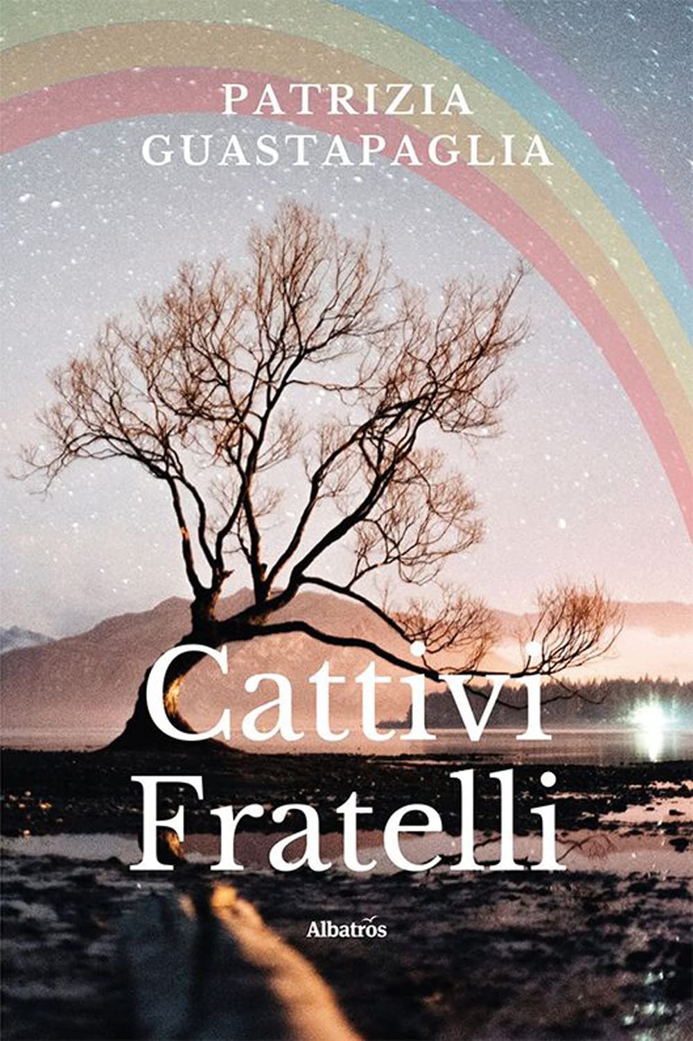 Cattivi fratelli book