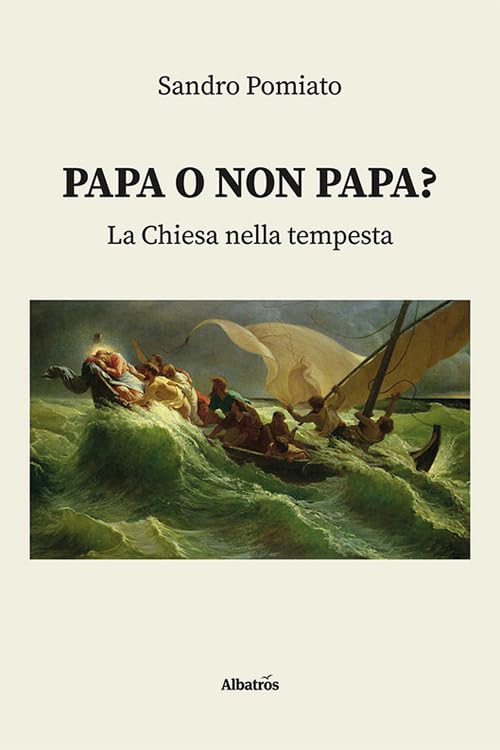 Papa o non papa? La Chiesa nella tempesta book