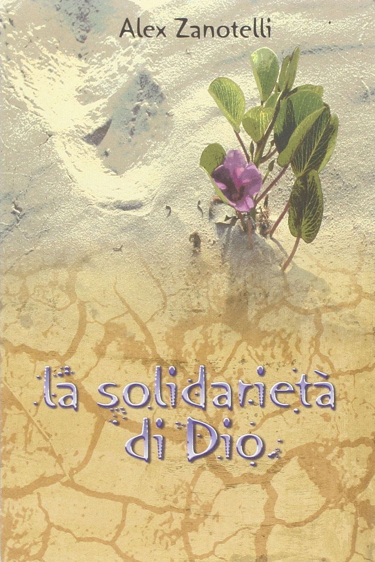 La solidarietà di Dio (Strumenti di animazione missionaria) Religion & Esotericism