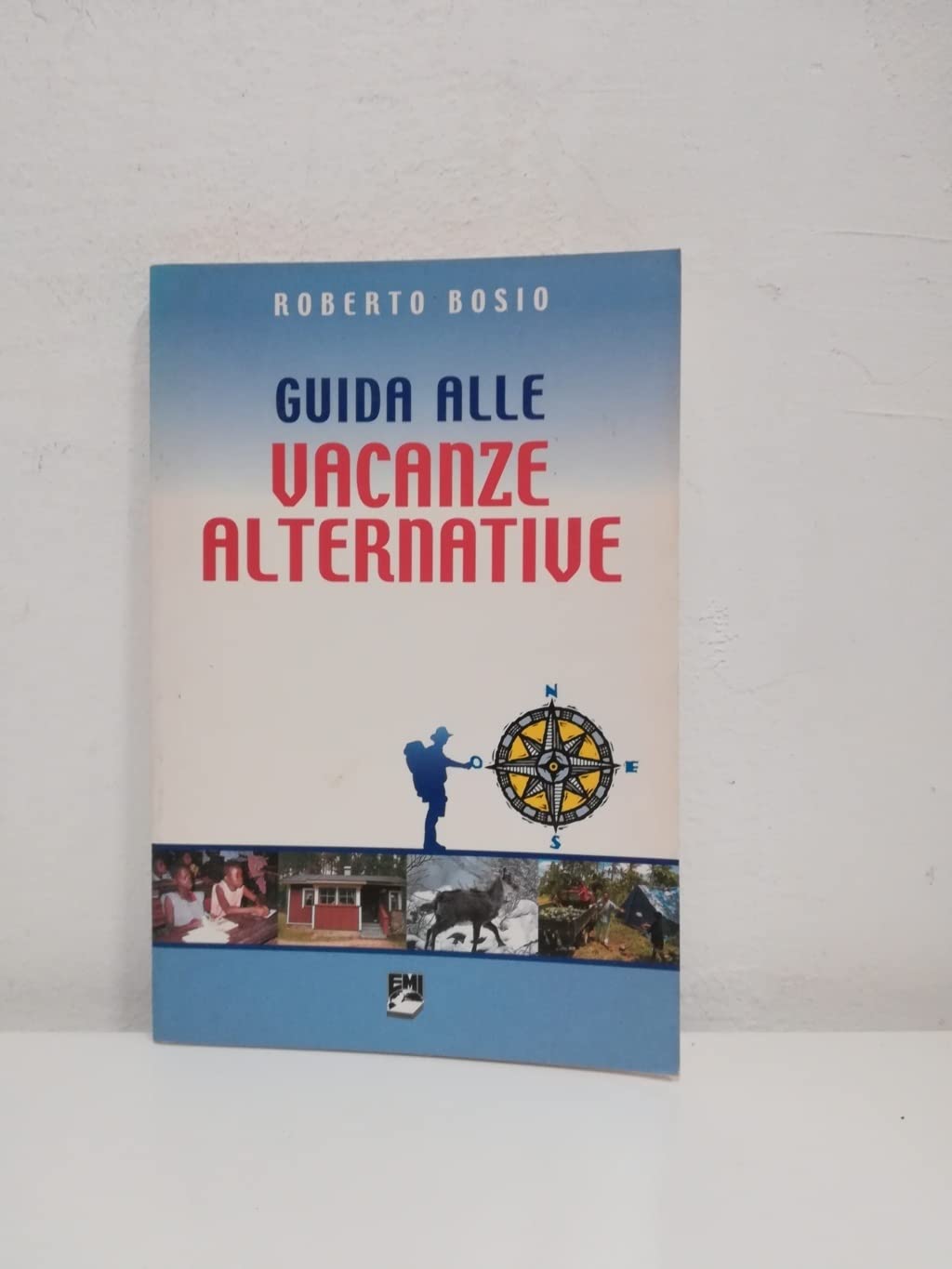 Guida Alle Vacanze Alternative book