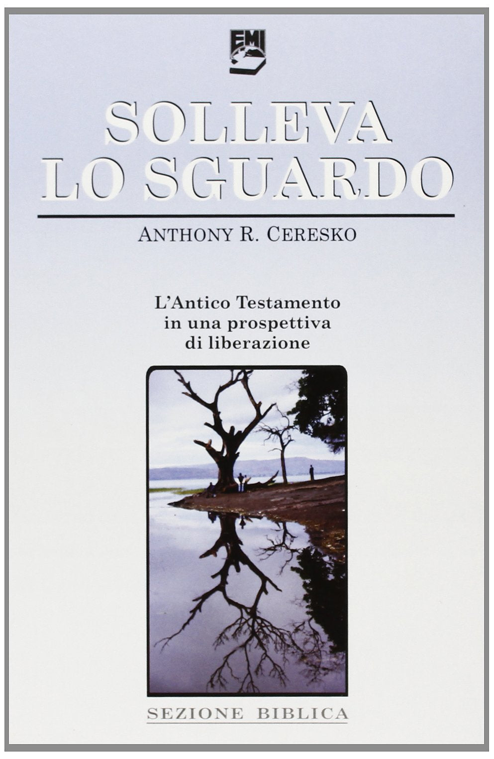 Solleva lo sguardo. L'Antico Testamento in una prospettiva di liberazione (La missione. Sezione biblica) Religion & Esotericism
