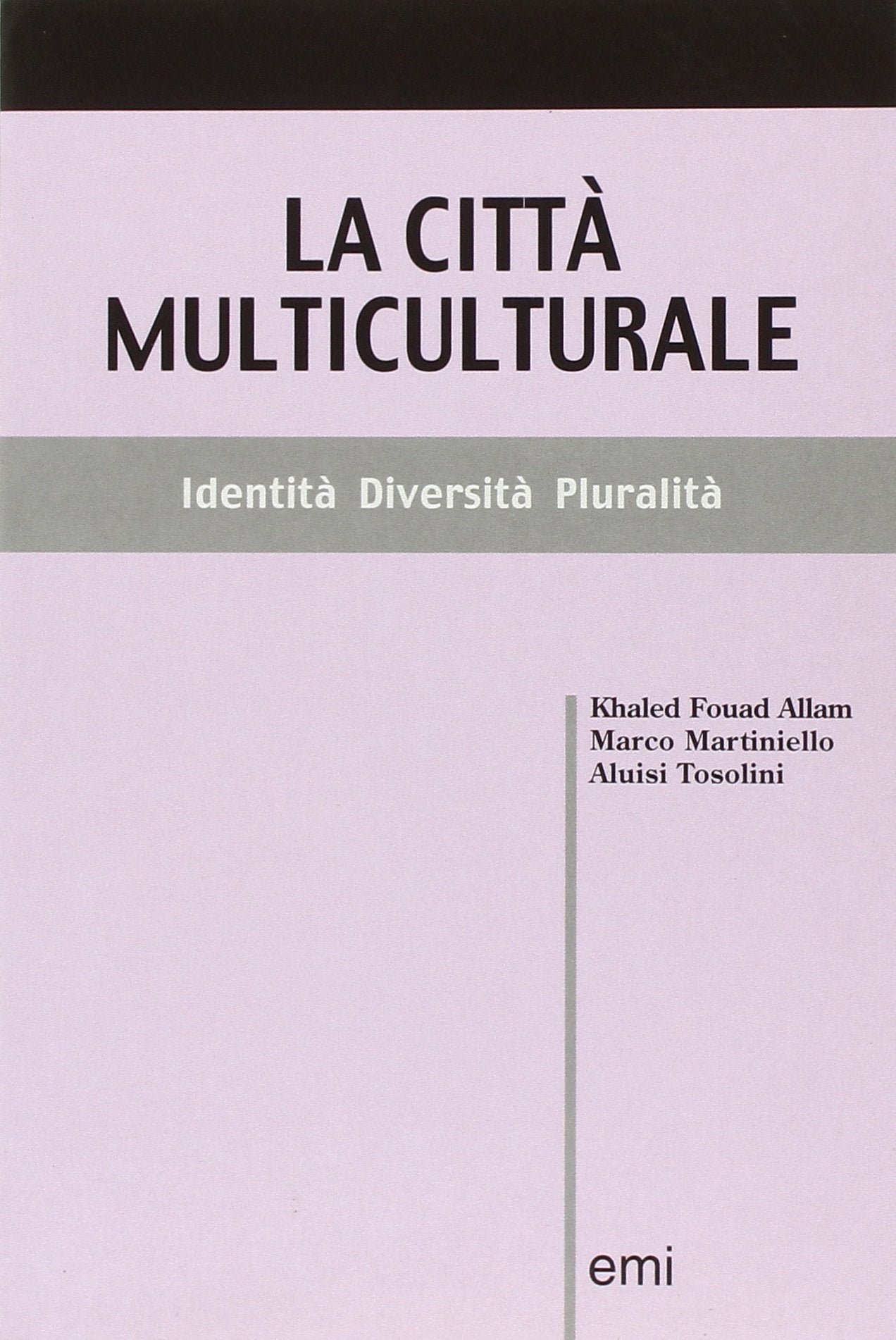 La città multiculturale. Identità, diversità, pluralità (Alfazeta observer) Books