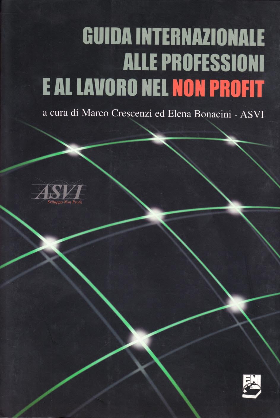 Guida internazionale alle professioni e al lavoro nel non profit book