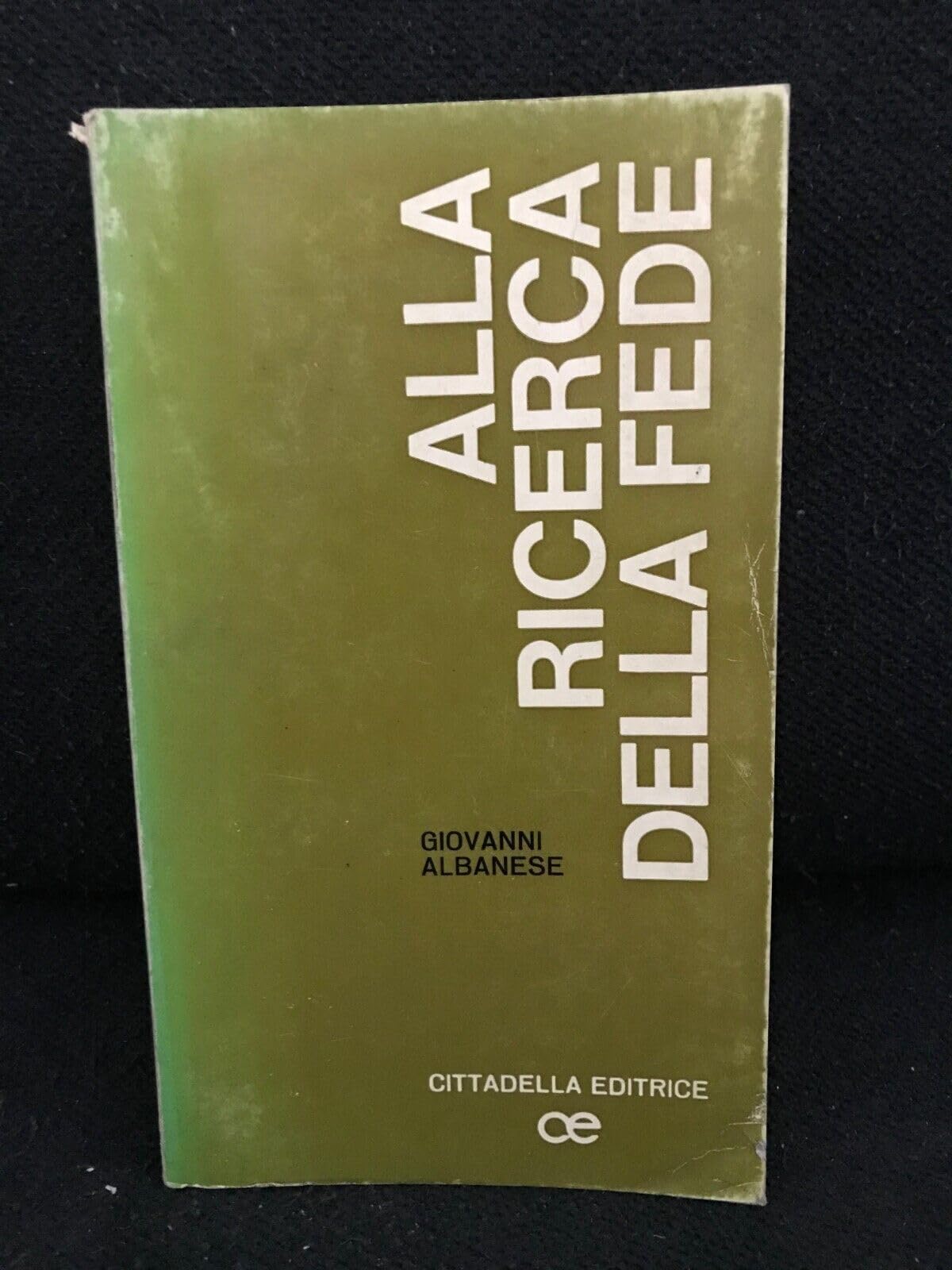 Alla ricerca della fede book