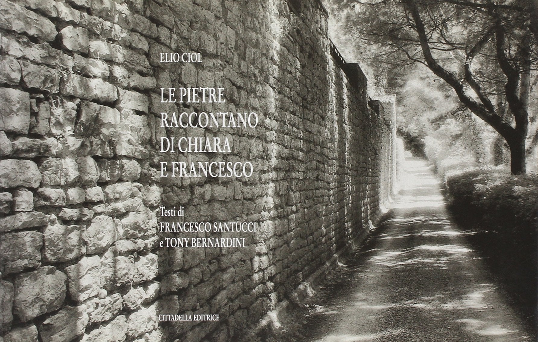 Le pietre raccontano di Chiara e Francesco. Ediz. illustrata book