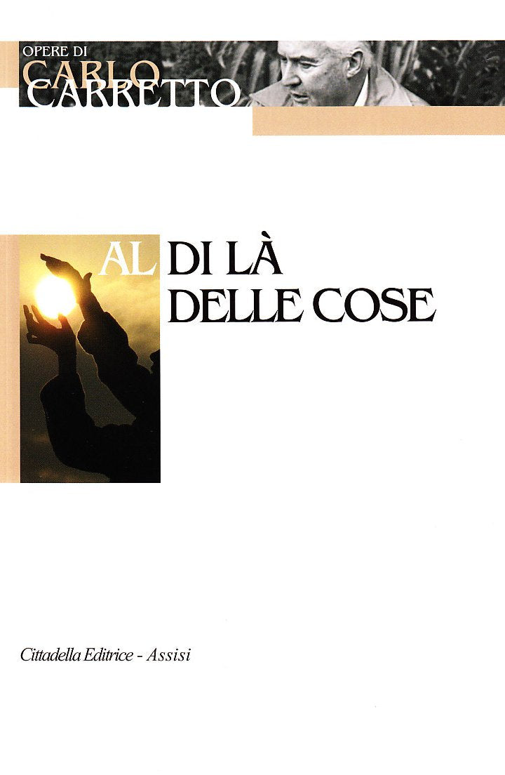 Al di là delle cose book