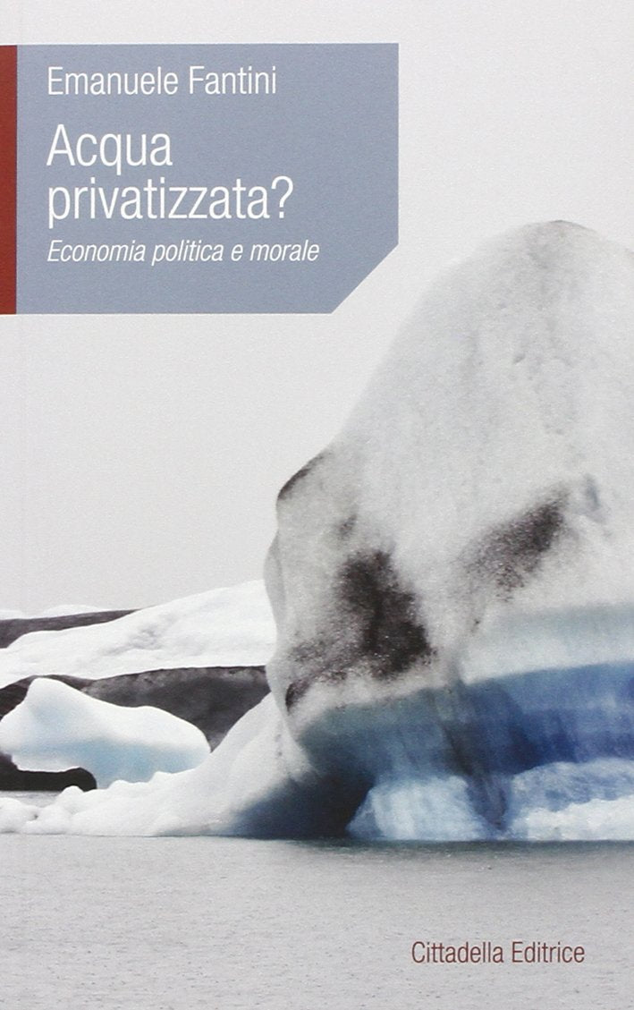 Acqua privatizzata? Economia, politica, etica Books