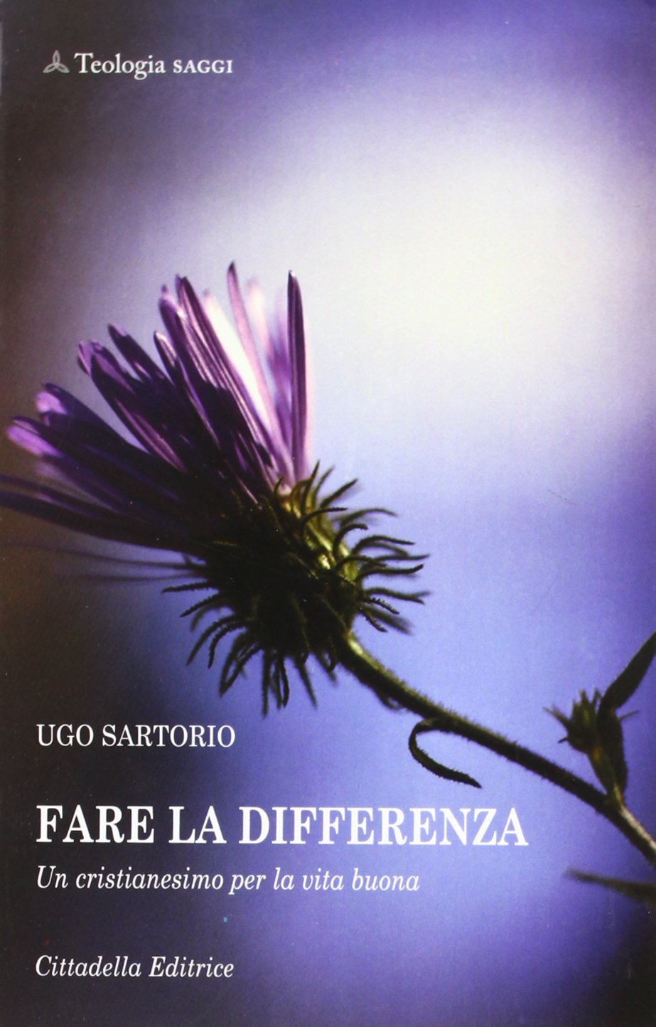 Fare la differenza. Un cristianesimo per la vita buona (Teologia. Saggi) Religion & Esotericism