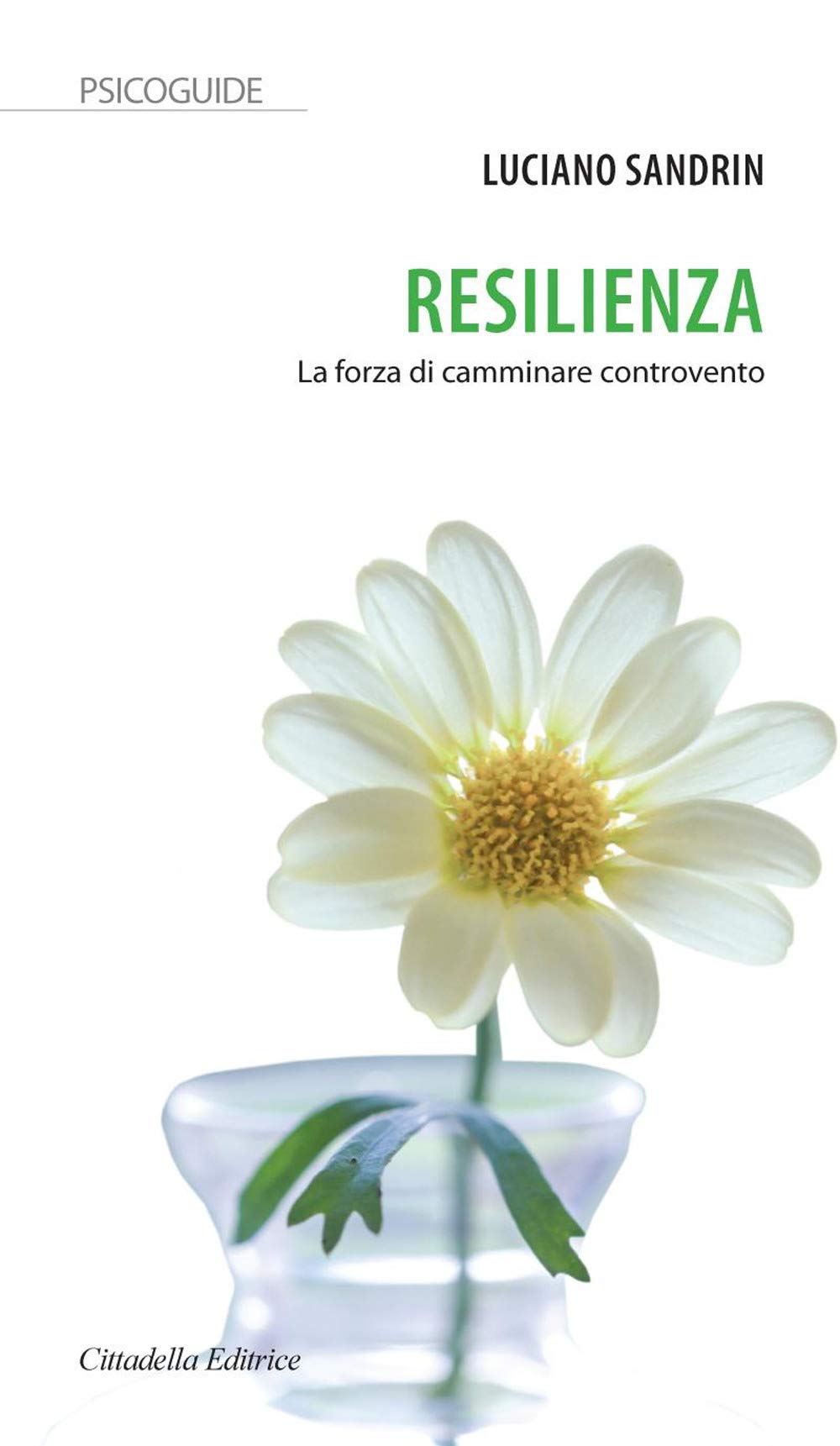 Resilienza. La forza di camminare controvento book