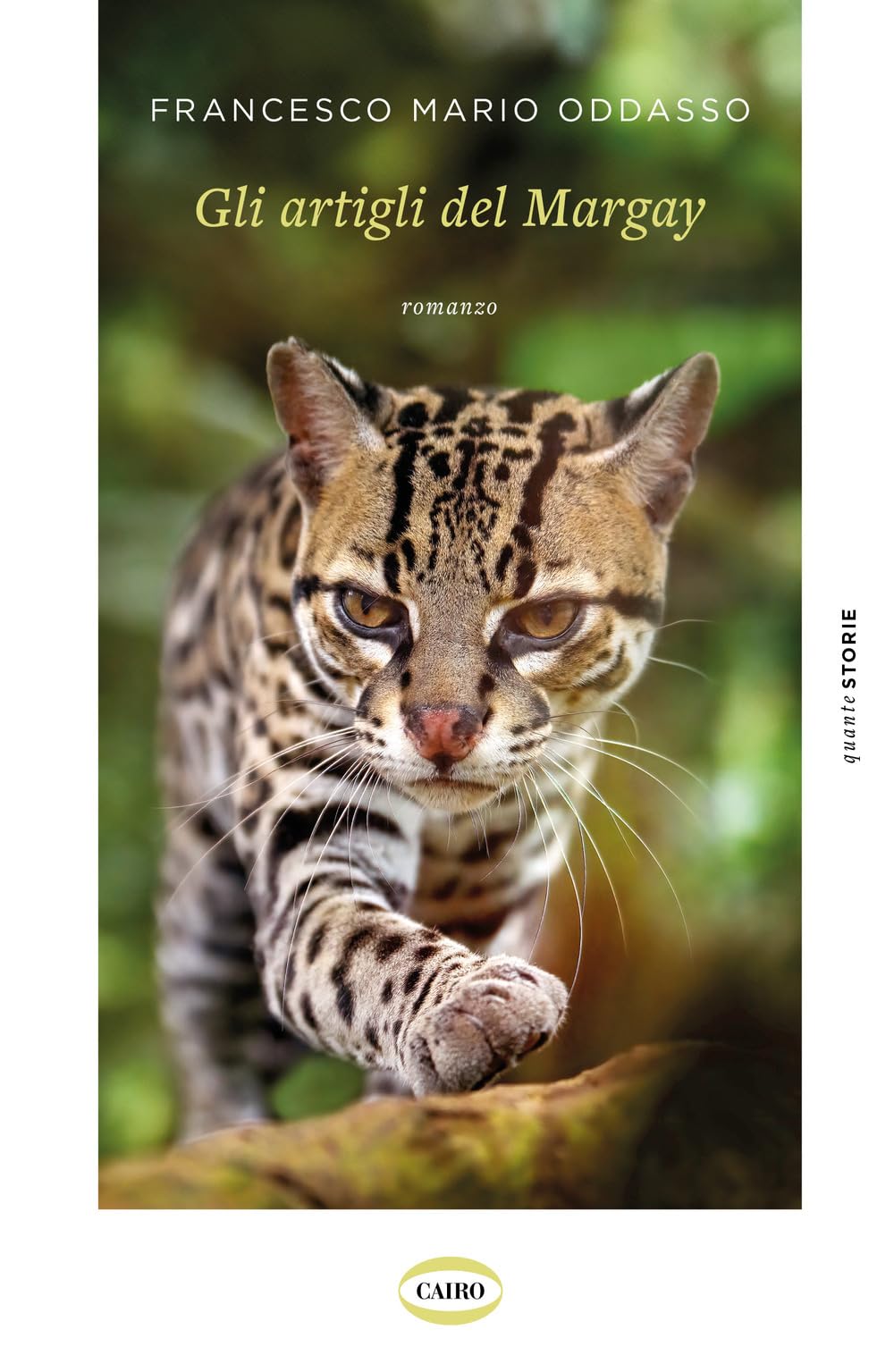 Gli artigli del Margay book