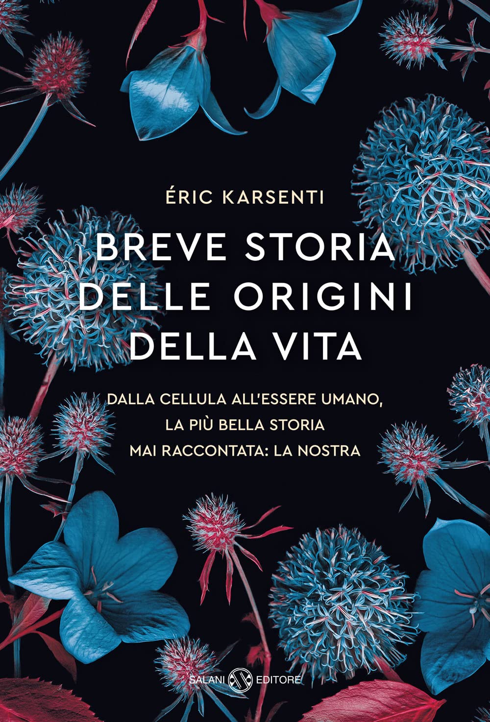 Breve storia delle origini della vita. Dalla cellula all'essere umano, la più bella storia mai raccontata: la nostra Mathematics