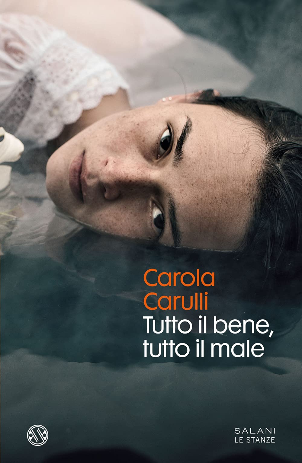 Tutto il bene, tutto il male (Le stanze) Contemporary literature