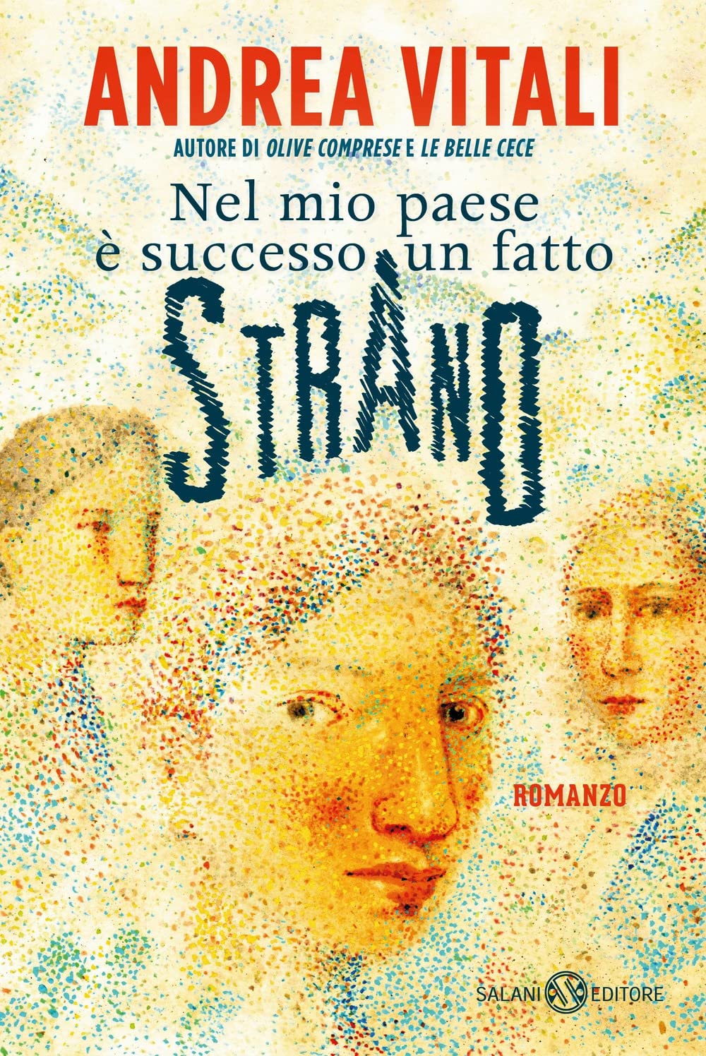 Nel mio paese è successo un fatto strano book
