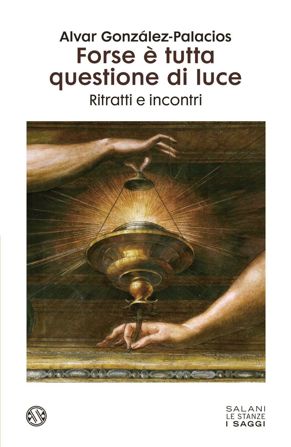 Forse è tutta questione di luce. Ritratti e incontri (Le stanze) Art & Literature