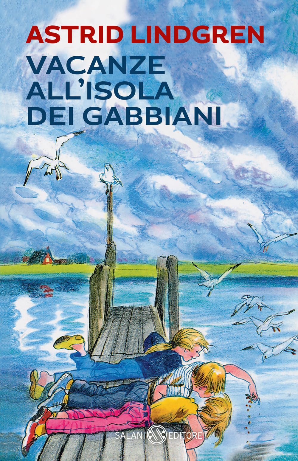 Vacanze all'isola dei gabbiani book