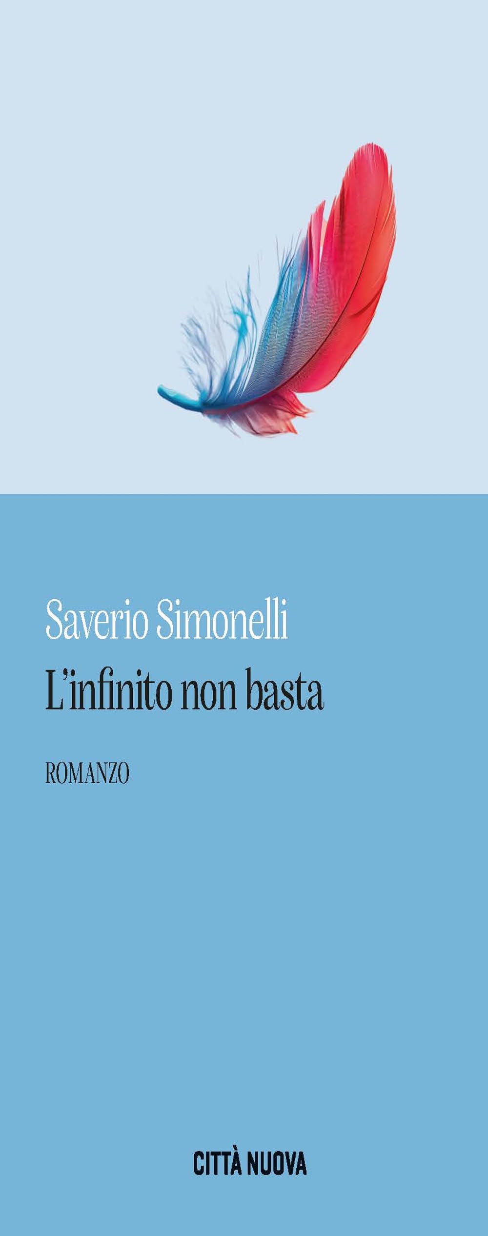 L'infinito non basta (Narratori) Contemporary literature Books