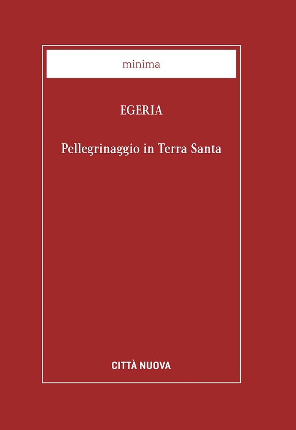 Pellegrinaggio in Terra Santa book