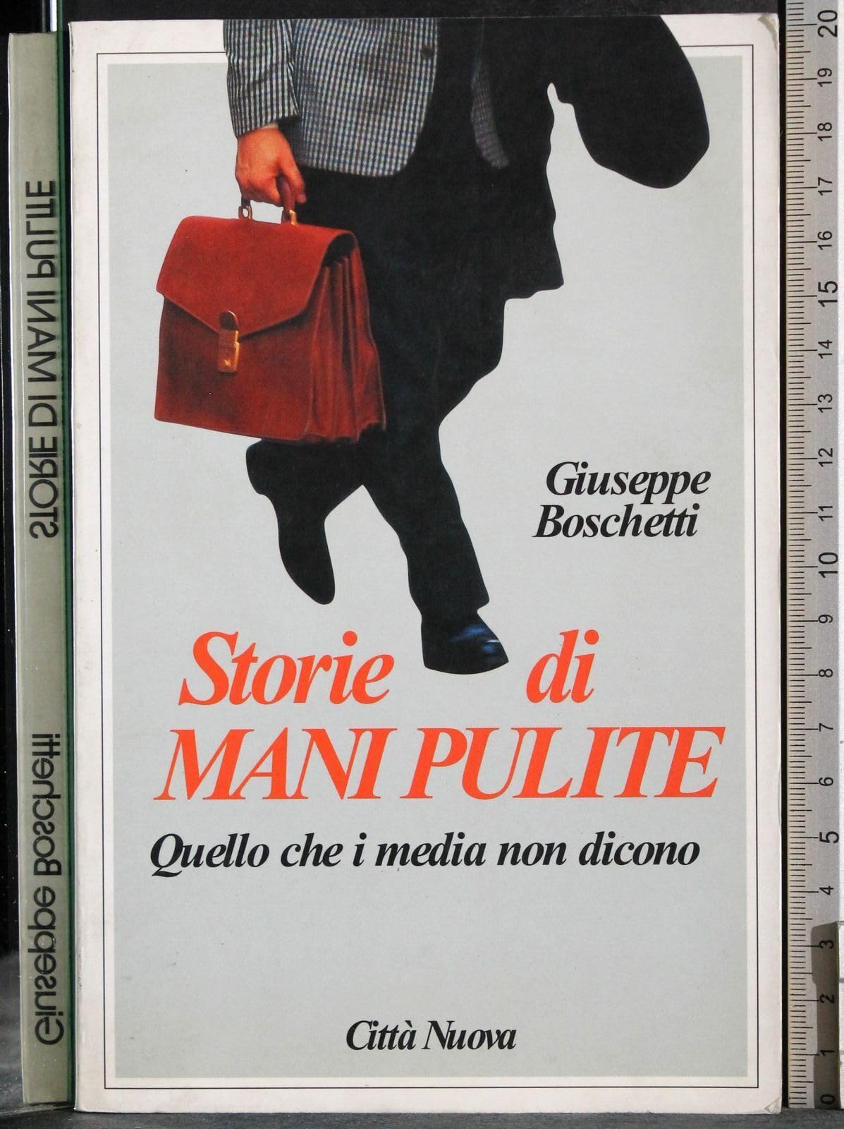 Storie di mani pulite. Quello che i media non dicono book