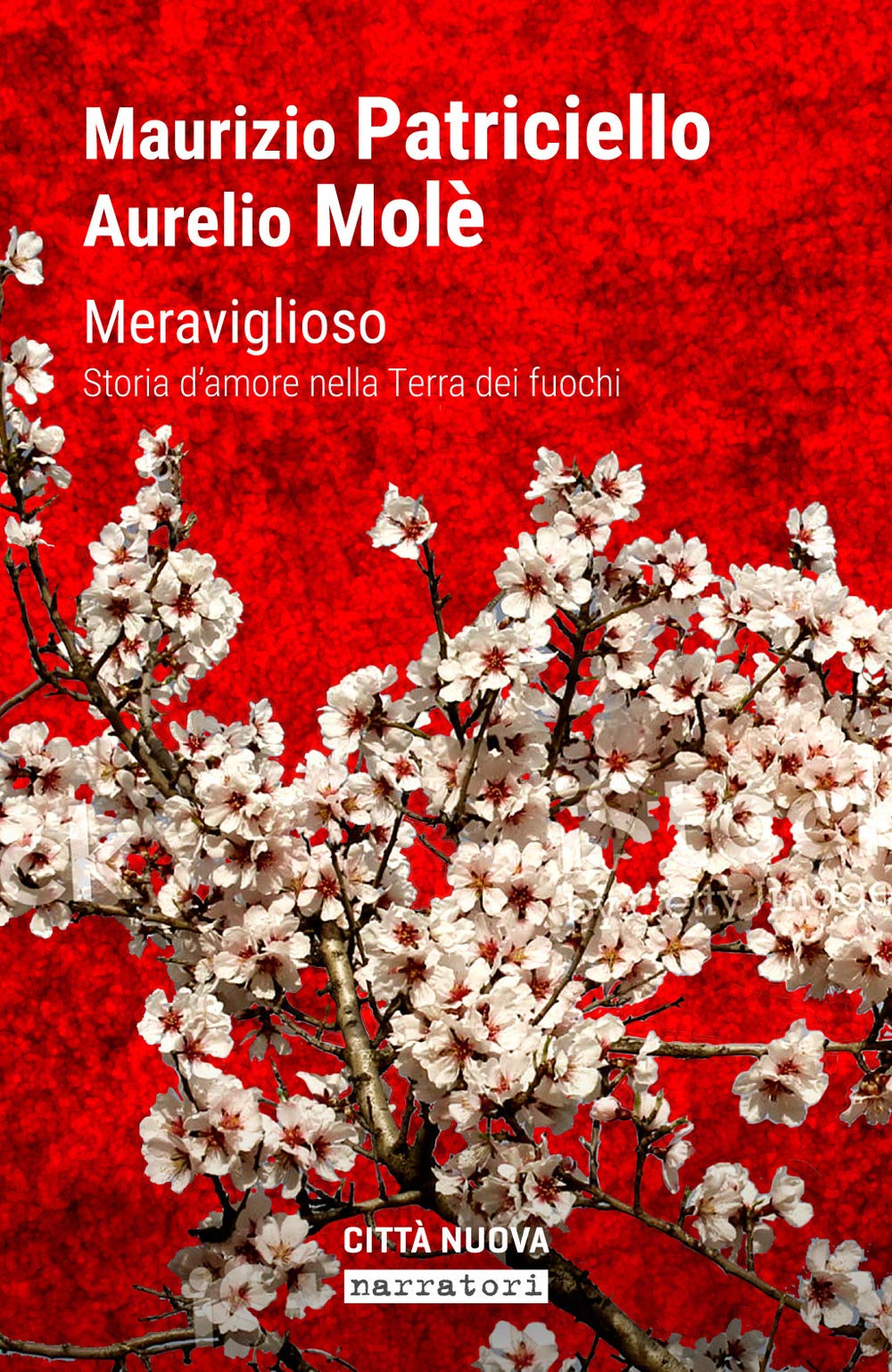 Meraviglioso. Storia d'amore nella «terra dei fuochi» Art & Literature