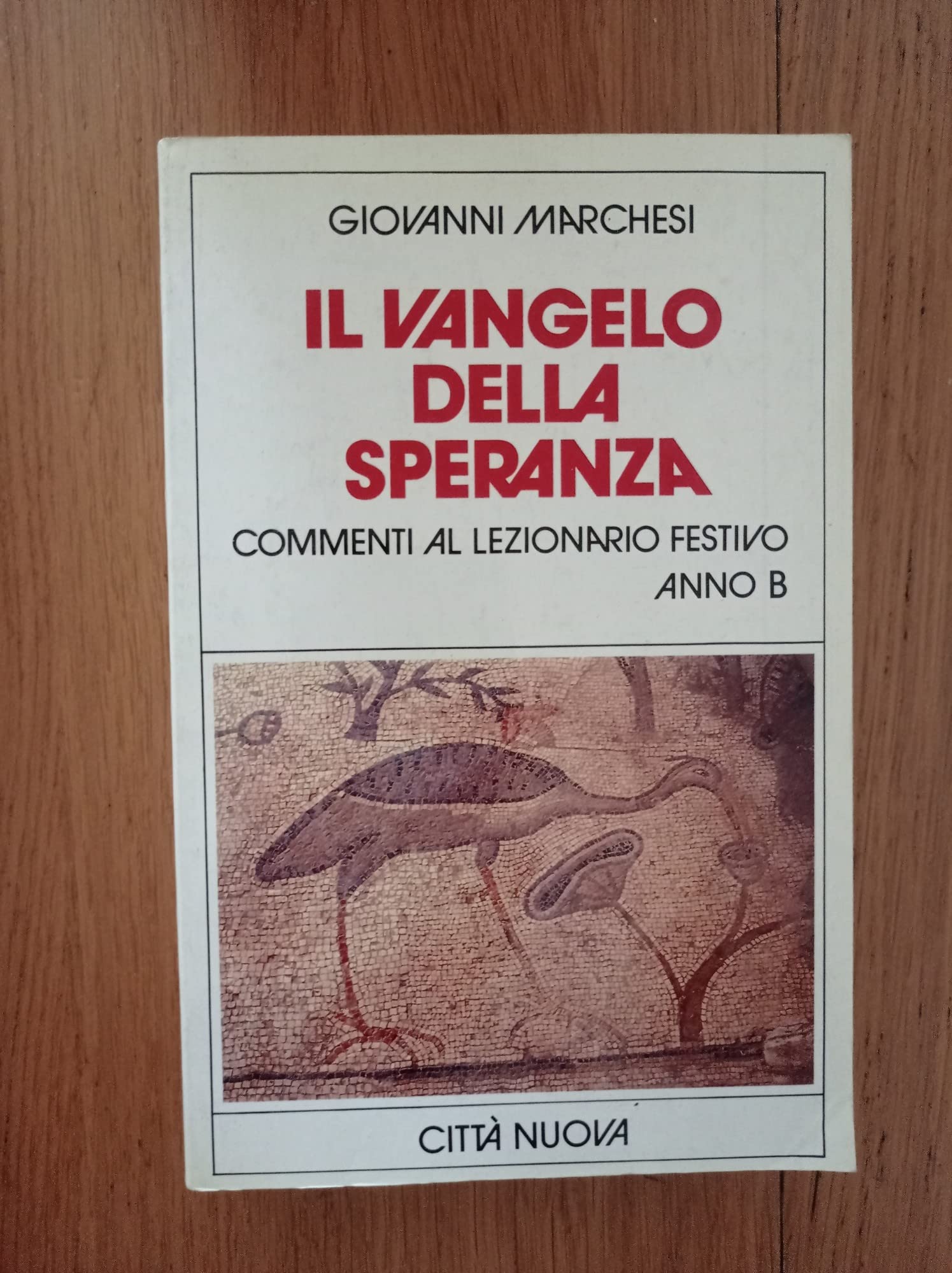 Il Vangelo della speranza. Commenti al lezionario festivo. Anno B book