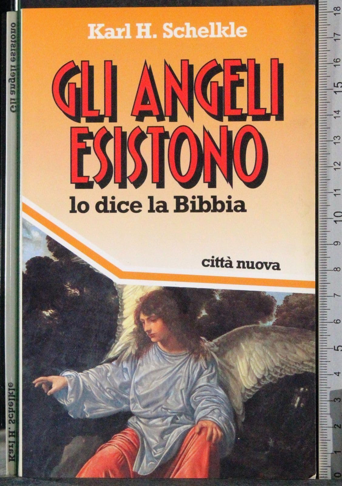 Gli angeli esistono. Lo dice la Bibbia (Fede: perché) Religion & Esotericism