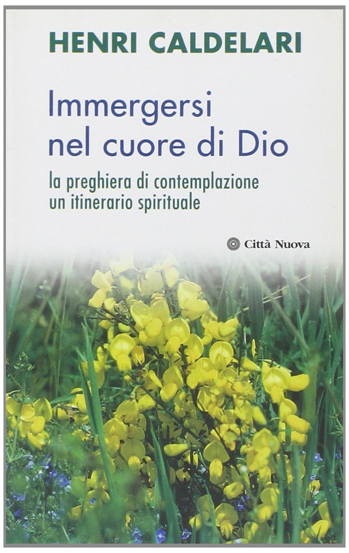 Immergersi nel cuore di Dio. La preghiera di contemplazione un itinerario spirituale book