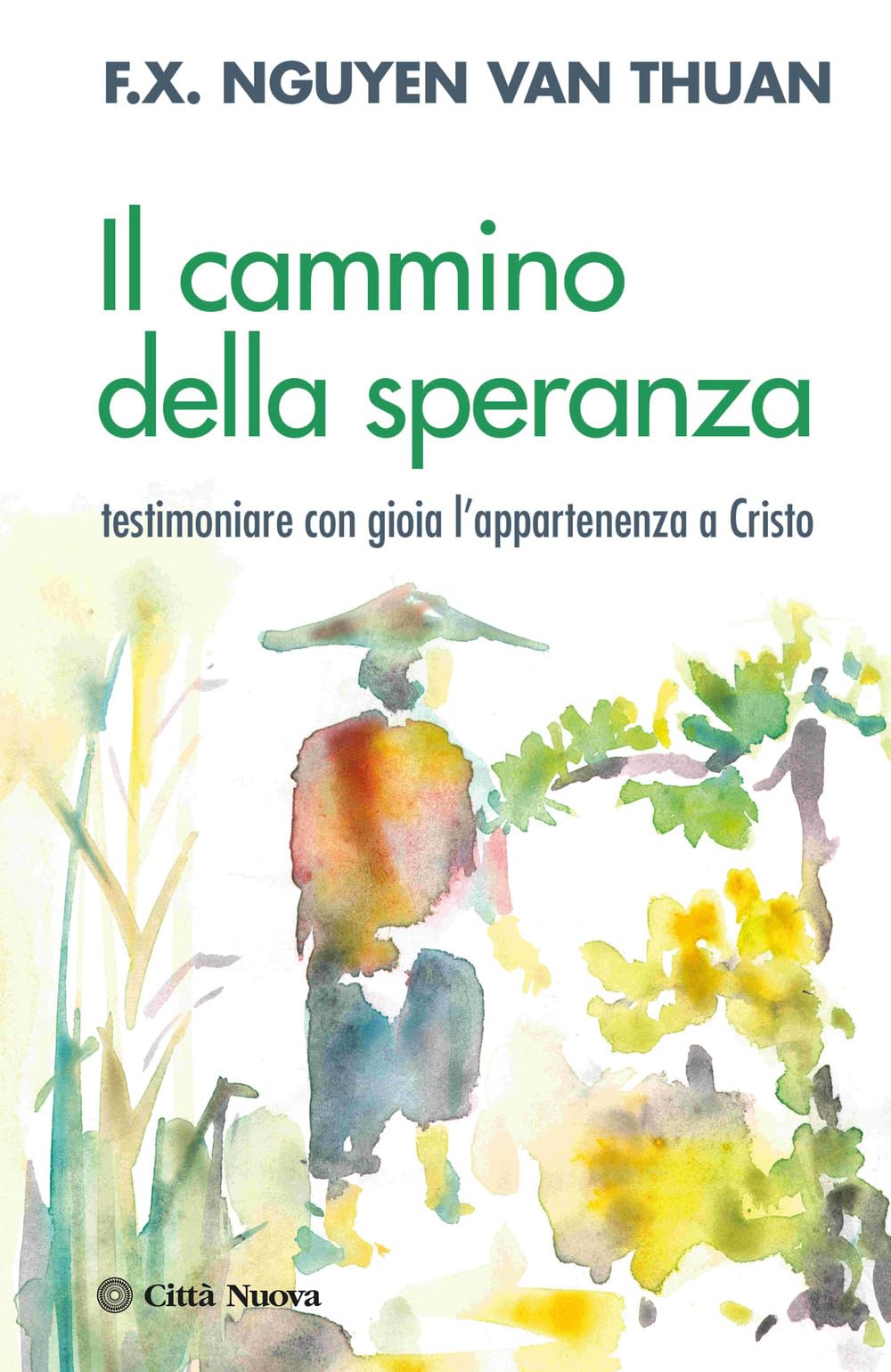Il cammino della speranza. Testimoniare con gioia l'appartenenza a Cristo book
