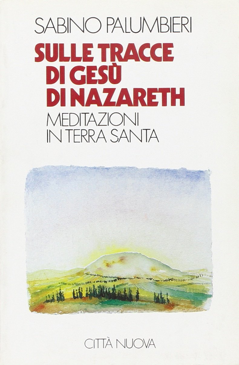 Sulle tracce di Gesù di Nazareth. Meditazioni in Terra Santa book