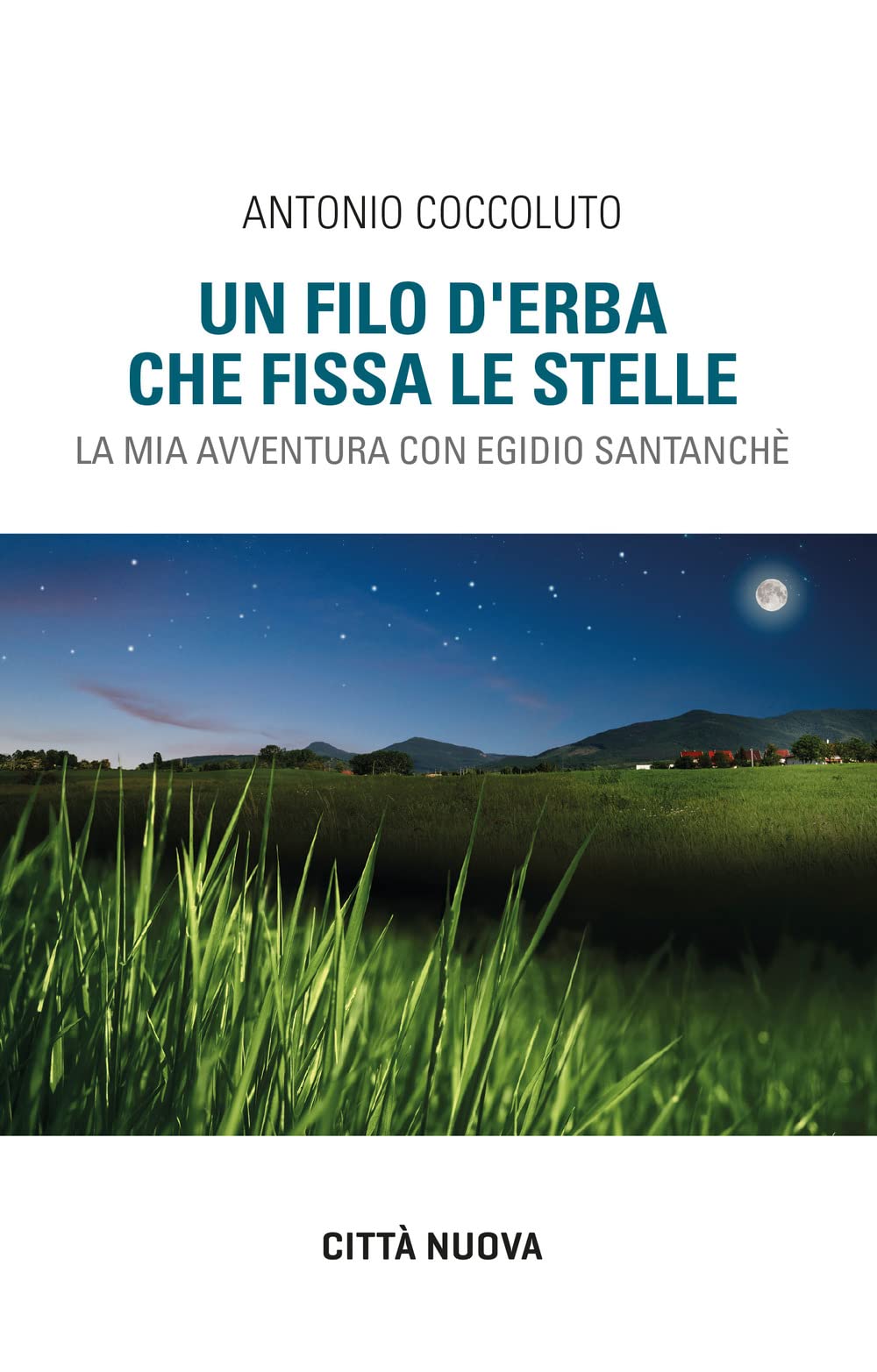 Un filo d'erba che fissa le stelle. La mia avventura con Egidio Santanchè (Verso l'unità. Testimonianze) Politics & History