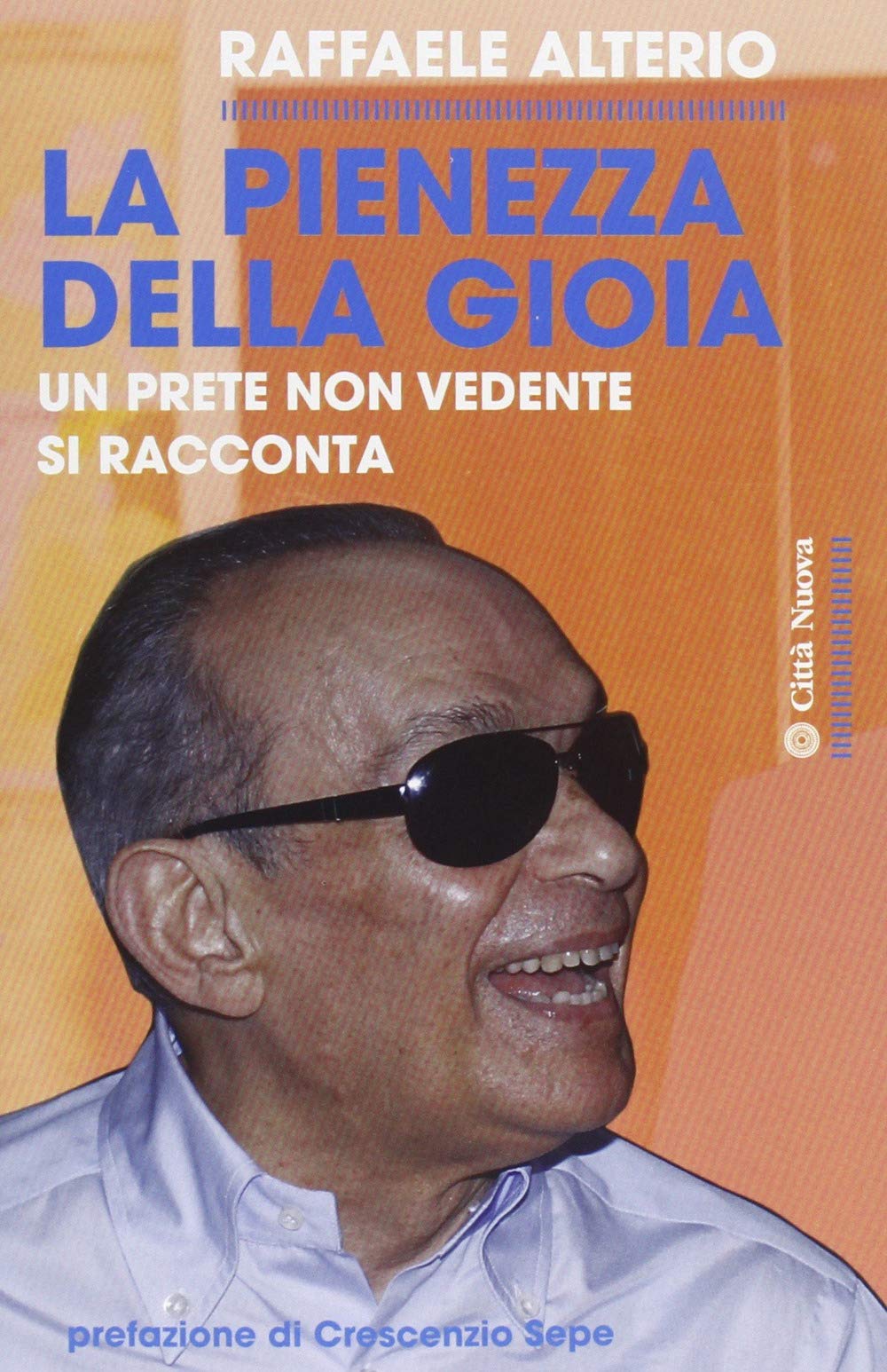 La pienezza della gioia. Un prete non vedente si racconta book