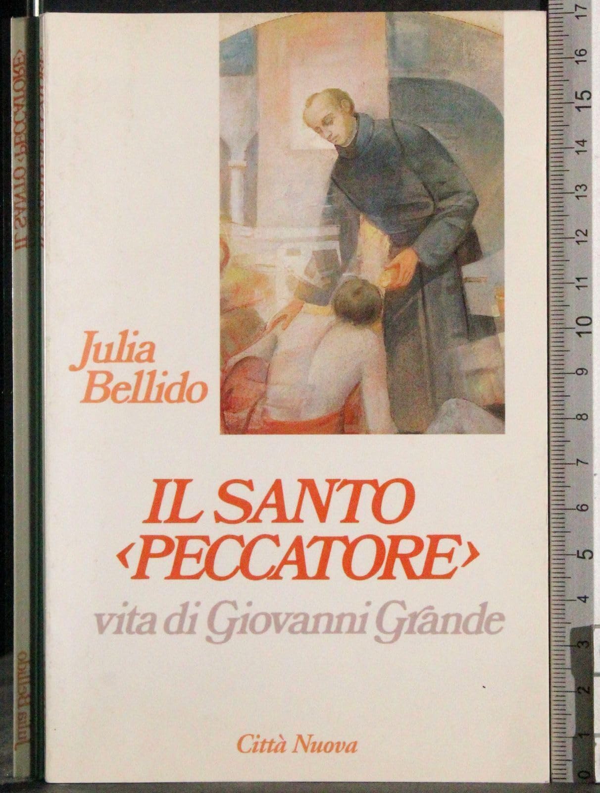 Il santo «Peccatore». Vita di Giovanni Grande book