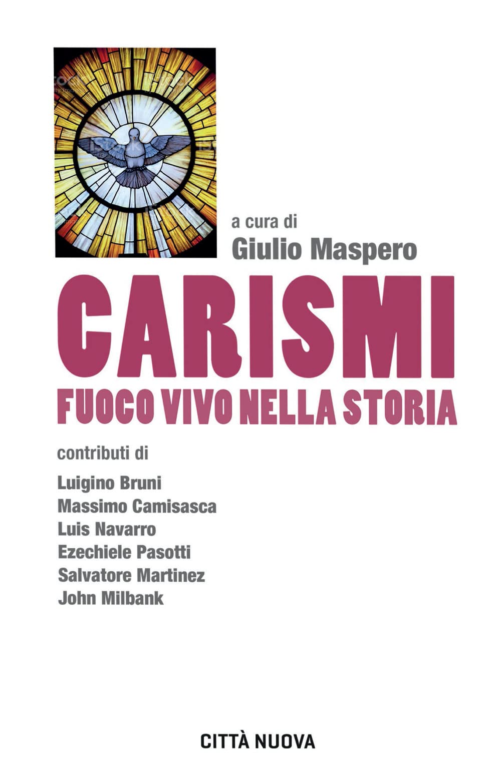 Carismi fuoco vivo nella storia book
