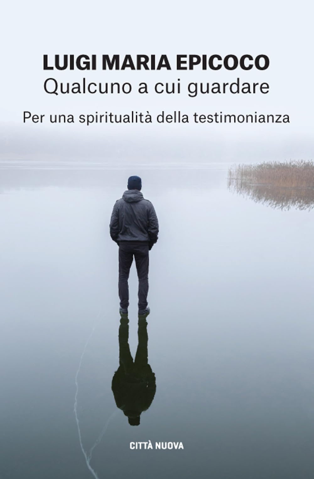 Qualcuno a cui guardare. Per una spiritualità della testimonianza (I Prismi. Saggi) Religion & Esotericism