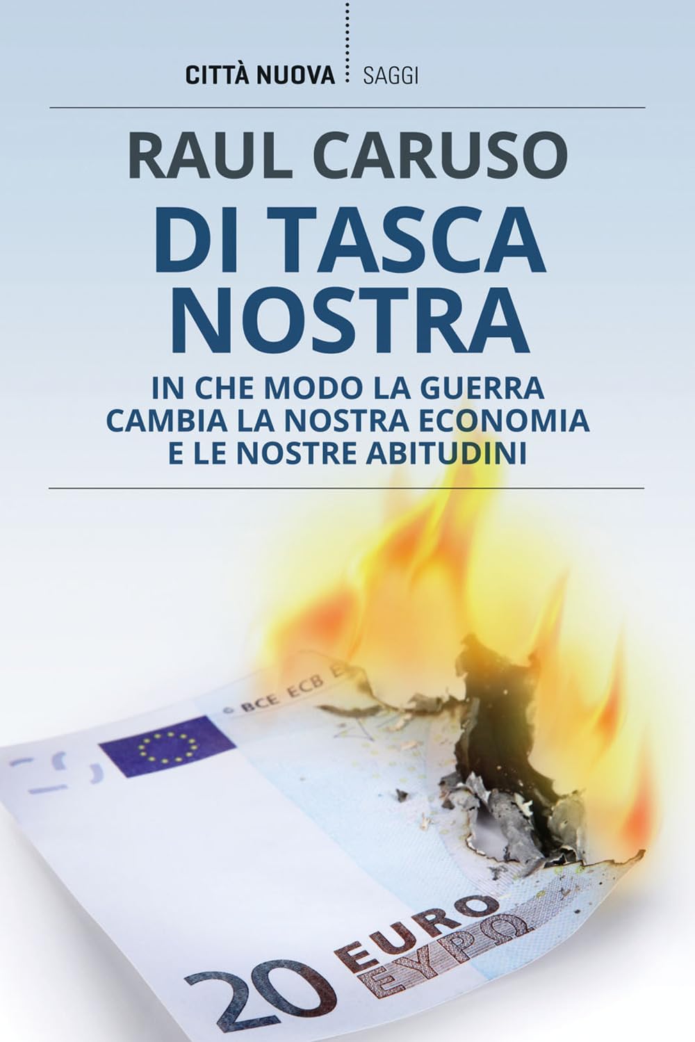 Di tasca nostra. In che modo la guerra cambia la nostra economia e le nostre abitudini (I Prismi. Saggi) Business, Finance & Career