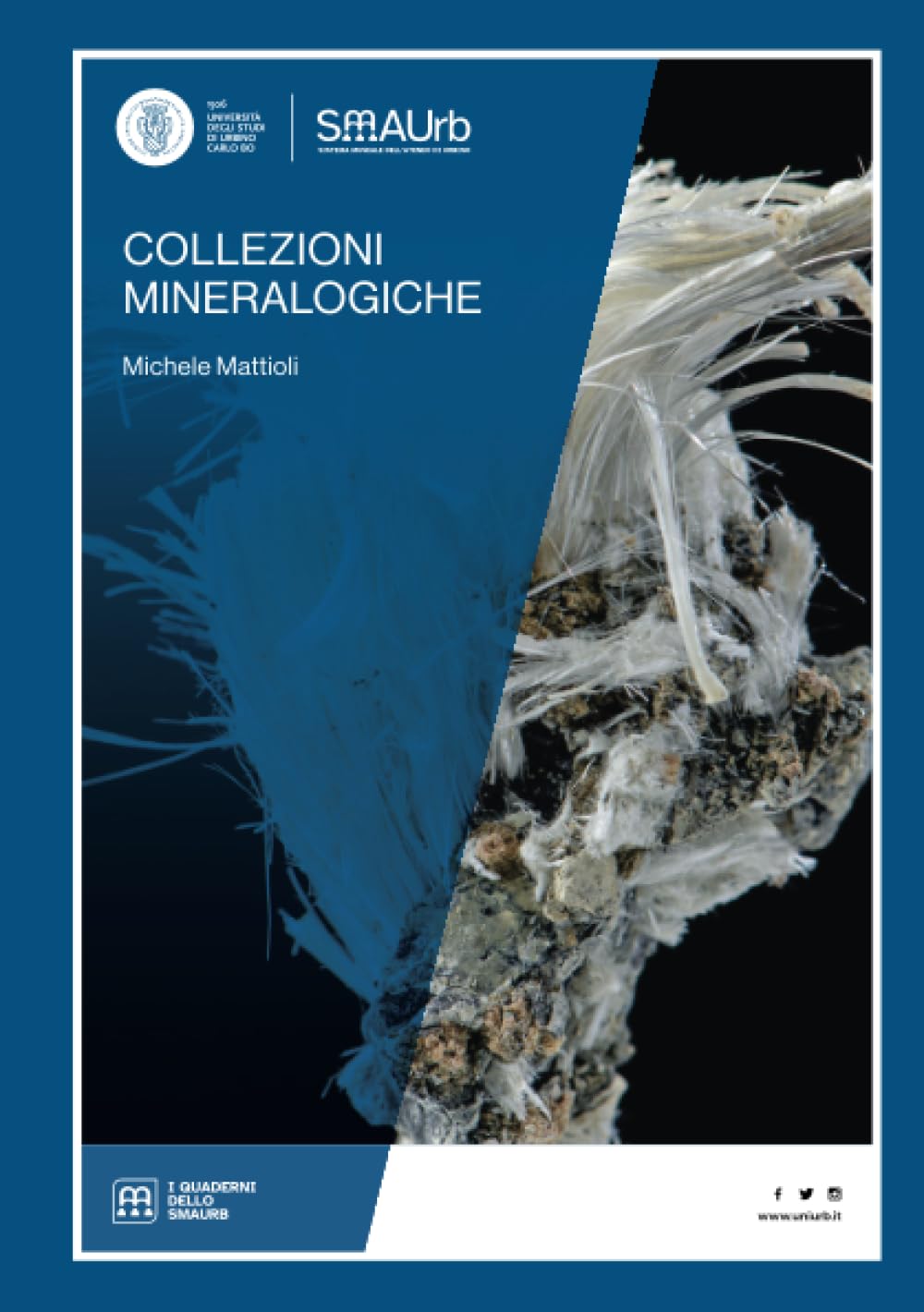 Collezioni mineralogiche (I Quaderni dello SMAUrb, Band 1) Business & Technology