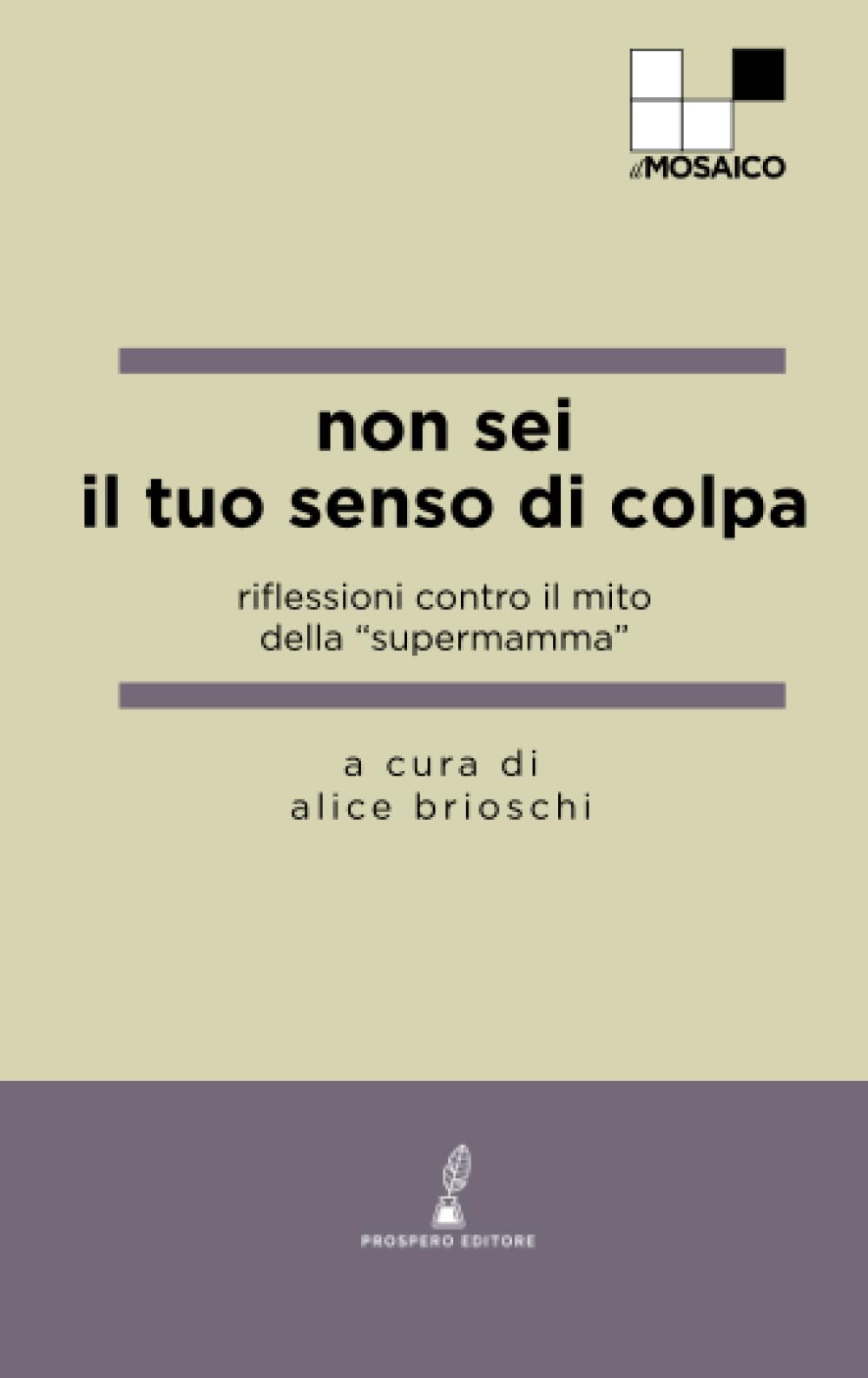 Non sei il tuo senso di colpa: Riflessioni contro il mito della "supermamma" book