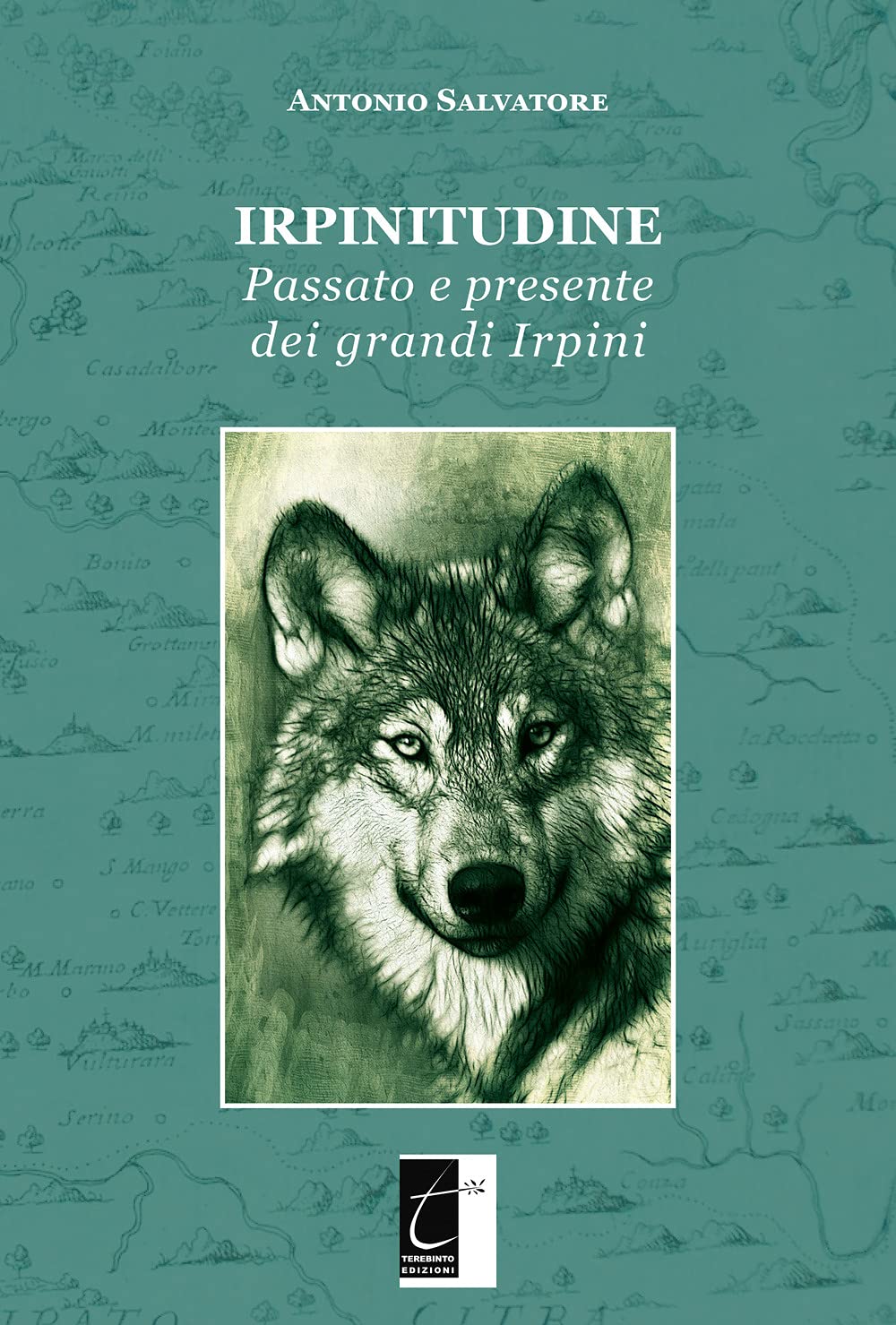 Irpinitudine. Passato e presente dei grandi irpini book
