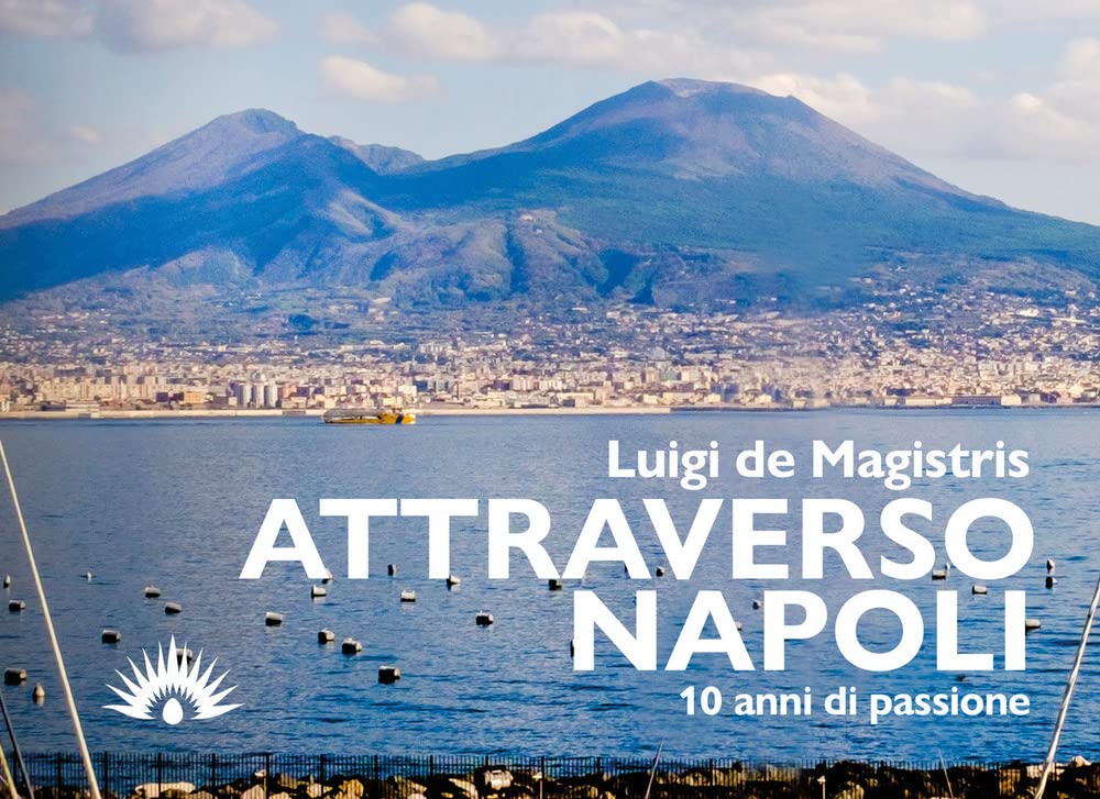 Attraverso Napoli. 10 anni di passione book
