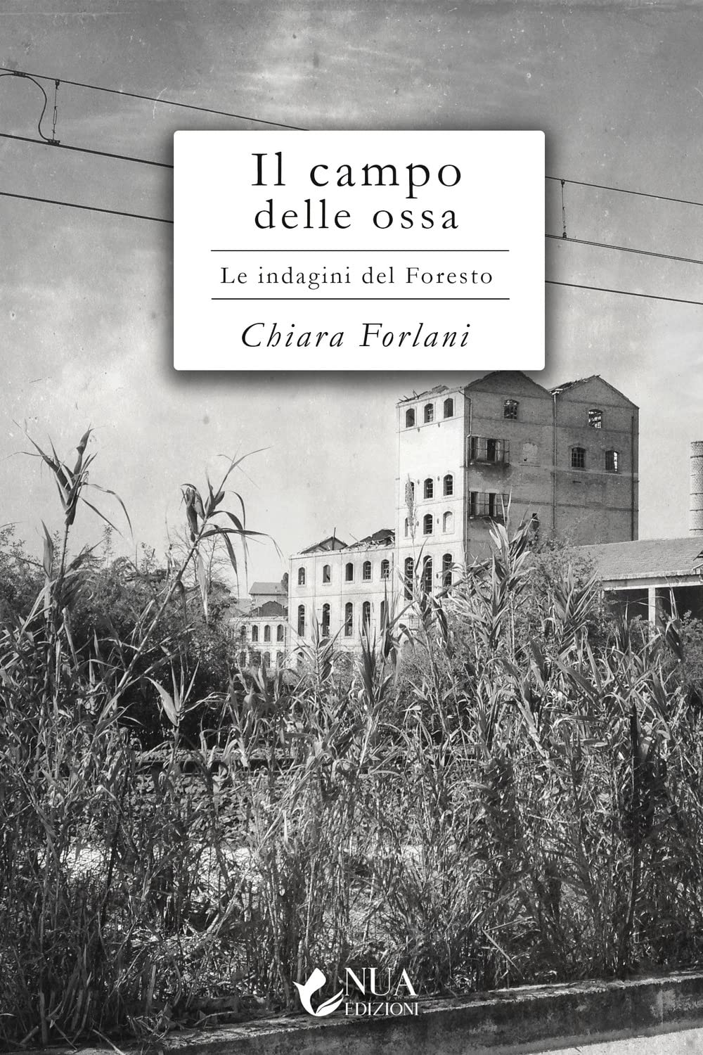 Il campo delle ossa. Le indagini del Foresto Historical Fiction