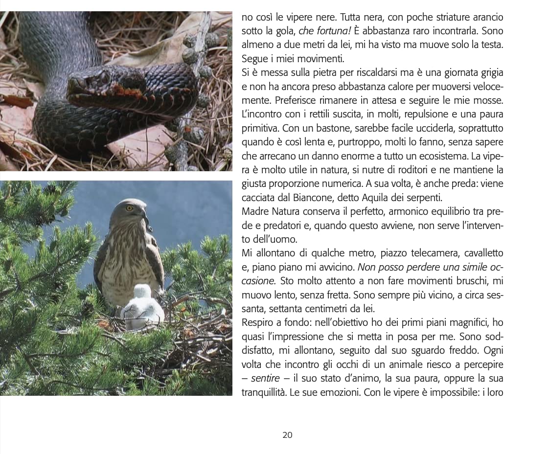 Il guardiano dei lupi e altre storie book