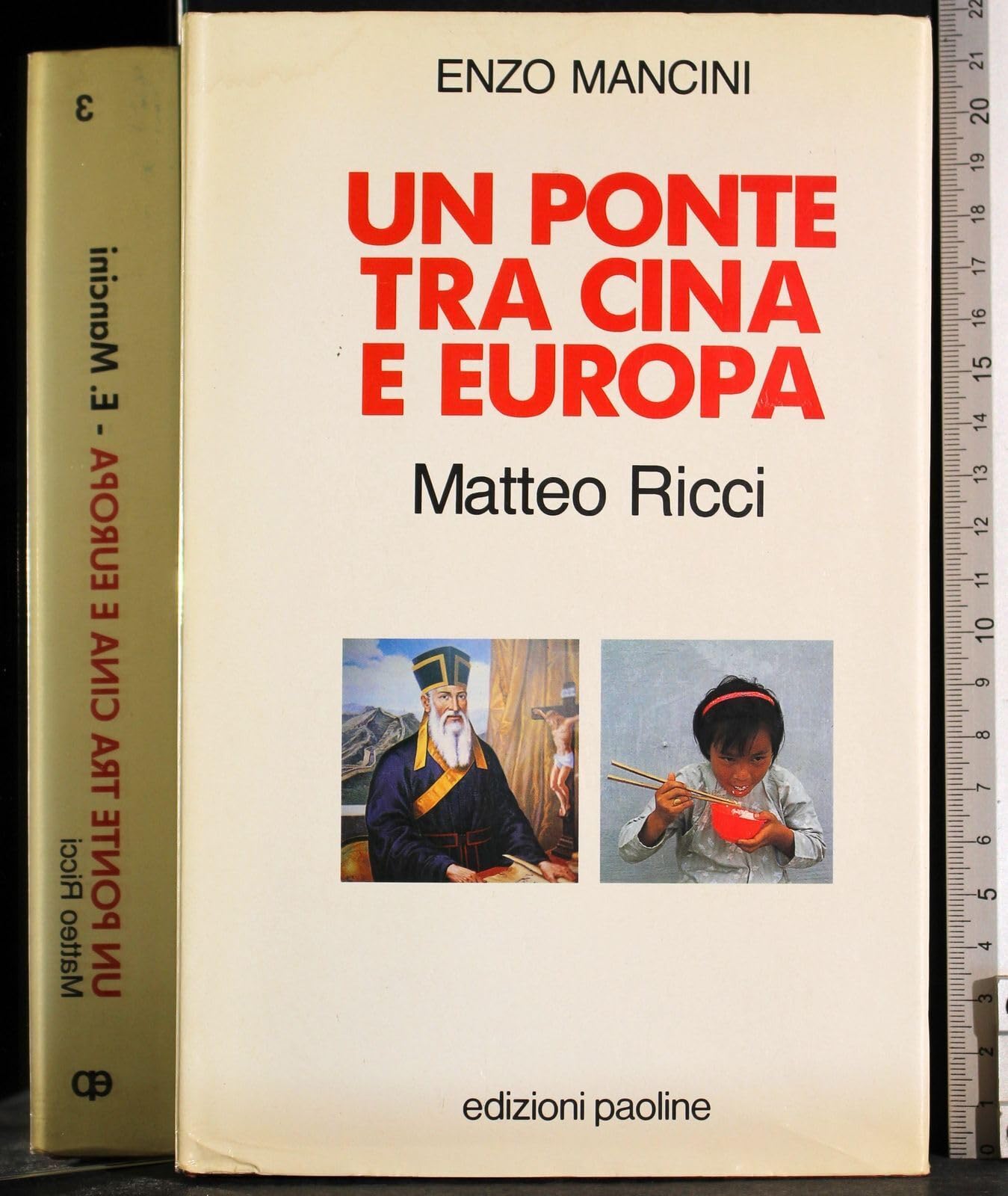 Un ponte tra Cina e Europa. Matteo Ricci book