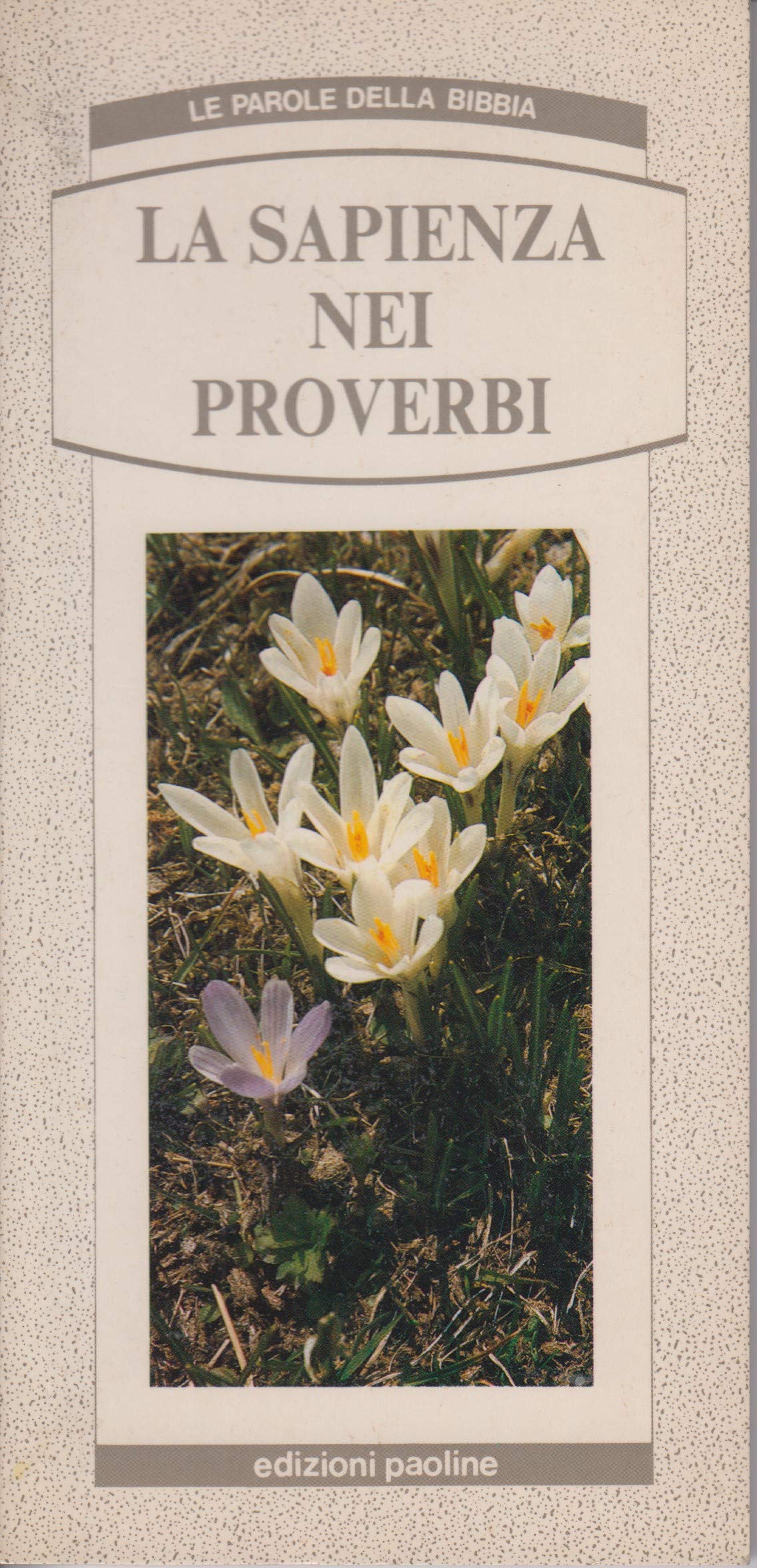 La sapienza nei Proverbi book
