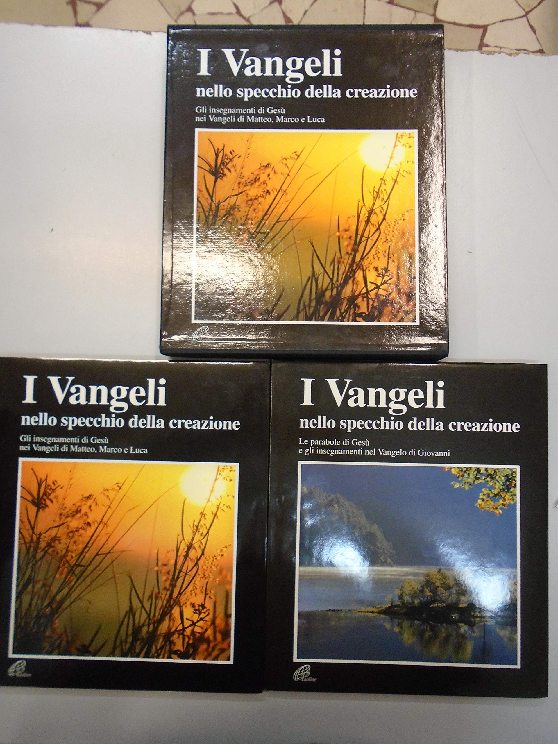 I vangeli nello specchio della creazione. Gli insegnamenti di Gesù nei Vangeli di Matteo, Marco e Luca (Fotolibri, Band 13) Religion & Esotericism