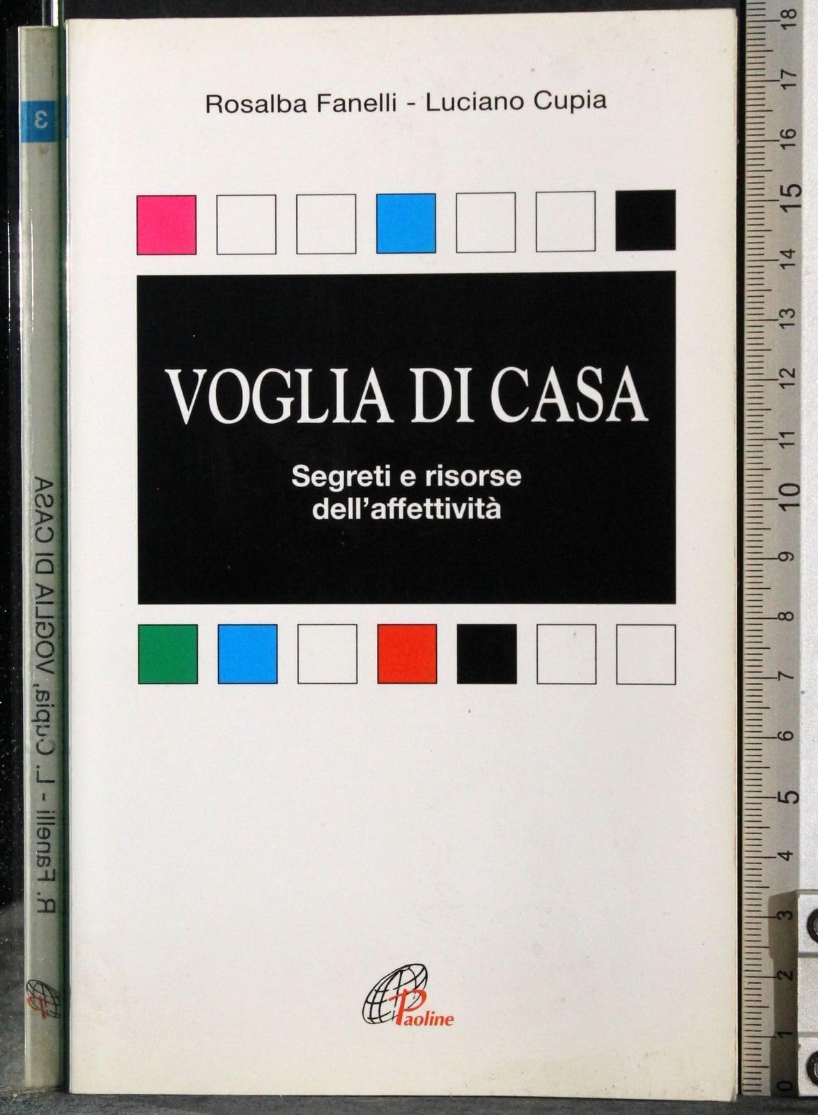 Voglia di casa. Segreti e risorse dell'affettività book