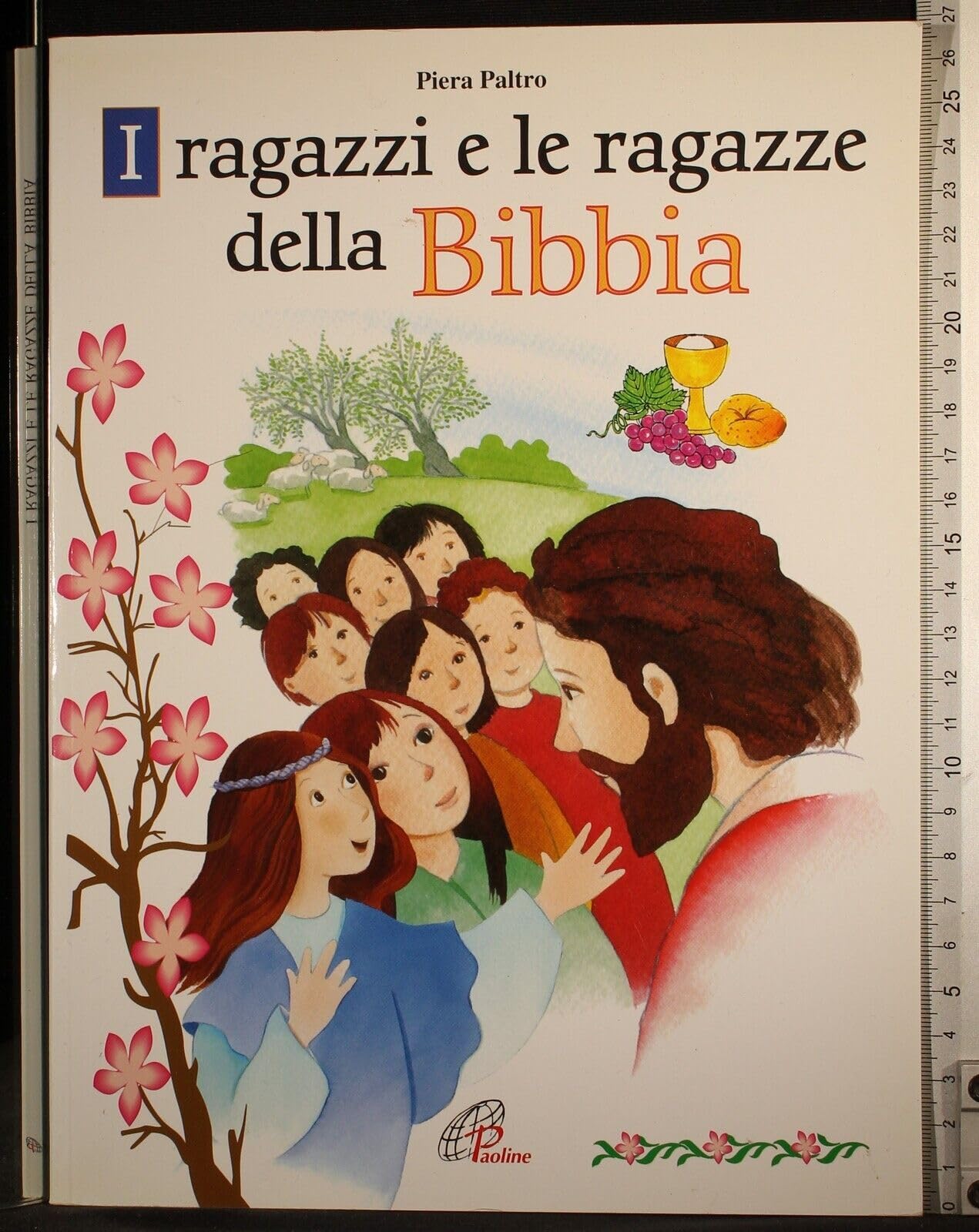 I ragazzi e le ragazze della Bibbia book