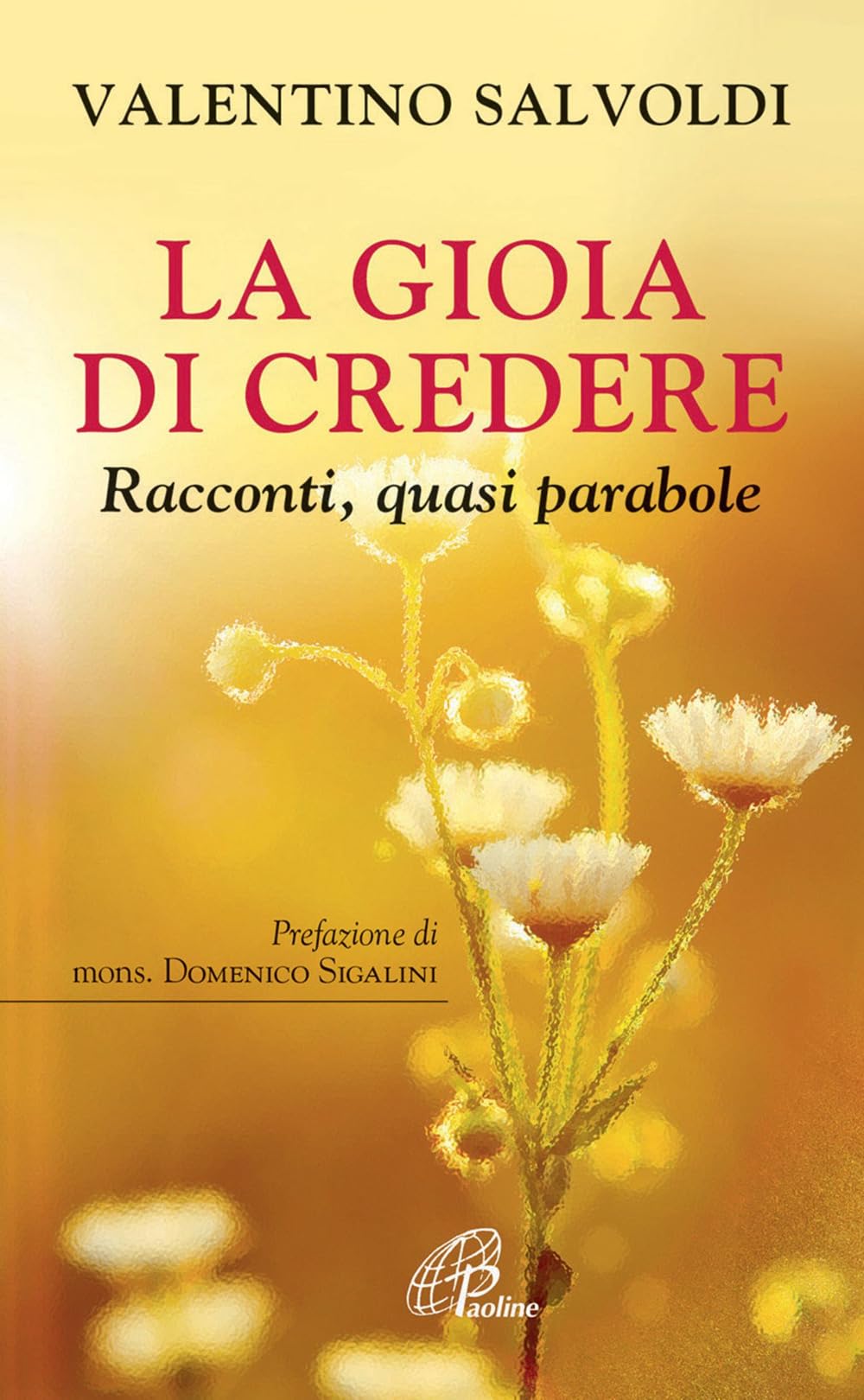 La gioia di credere. Racconti, quasi parabole book