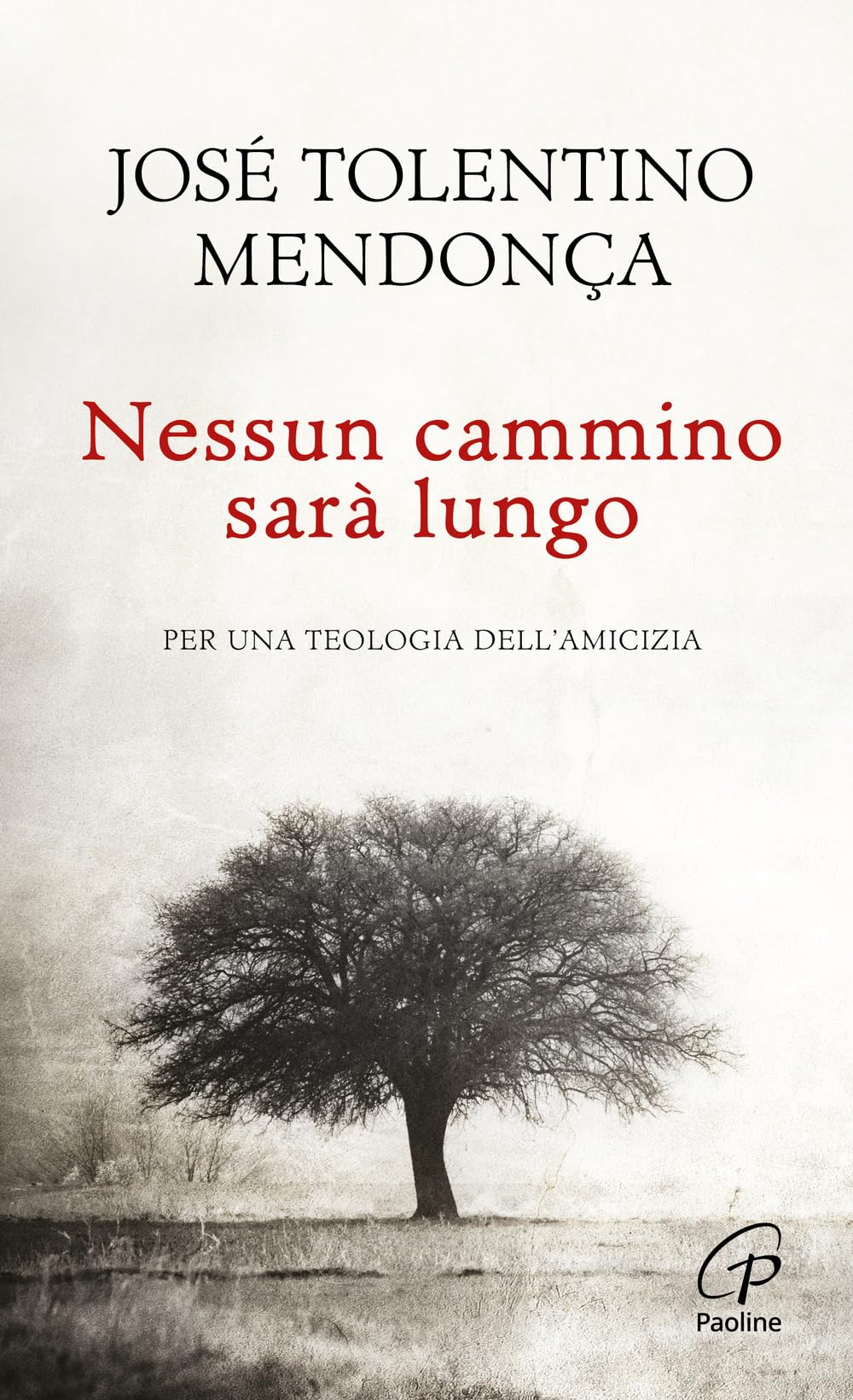 Nessun cammino sarà lungo. Per una teologia dell'amicizia (Spiritualità del quotidiano, Band 97) Social Sciences