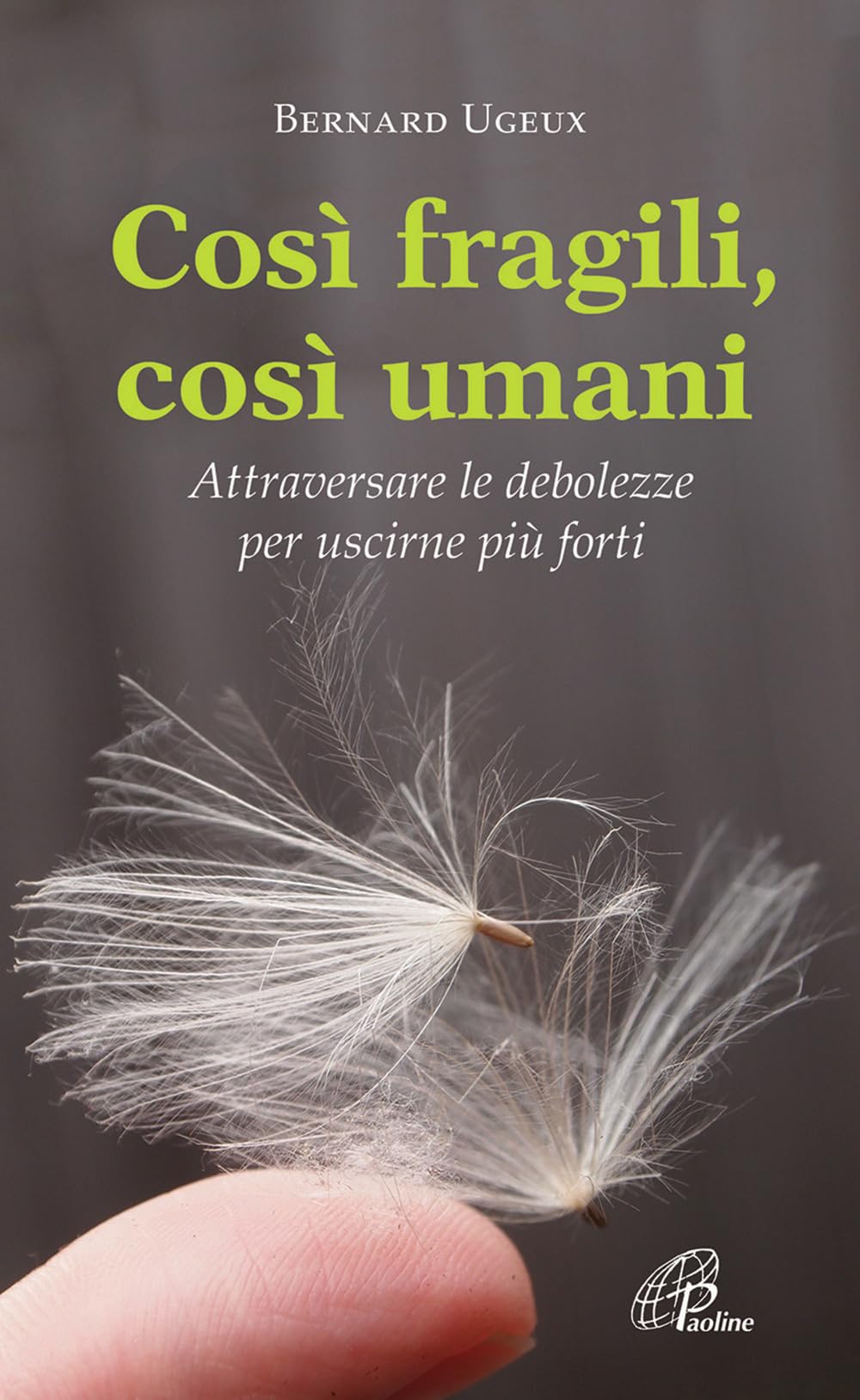 Così fragili così umani. Attraversare le debolezze per uscirne più forti book