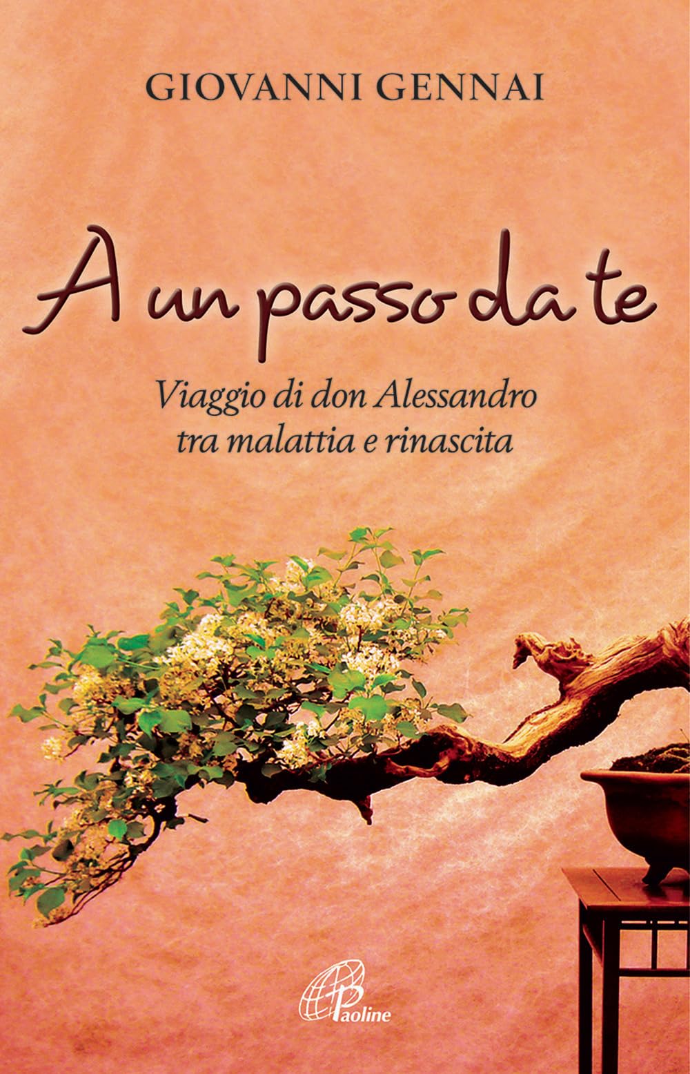 A un passo da te. Viaggio di don Alessandro tra malattia e rinascita (Libroteca/Paoline, Band 184) Politics & History