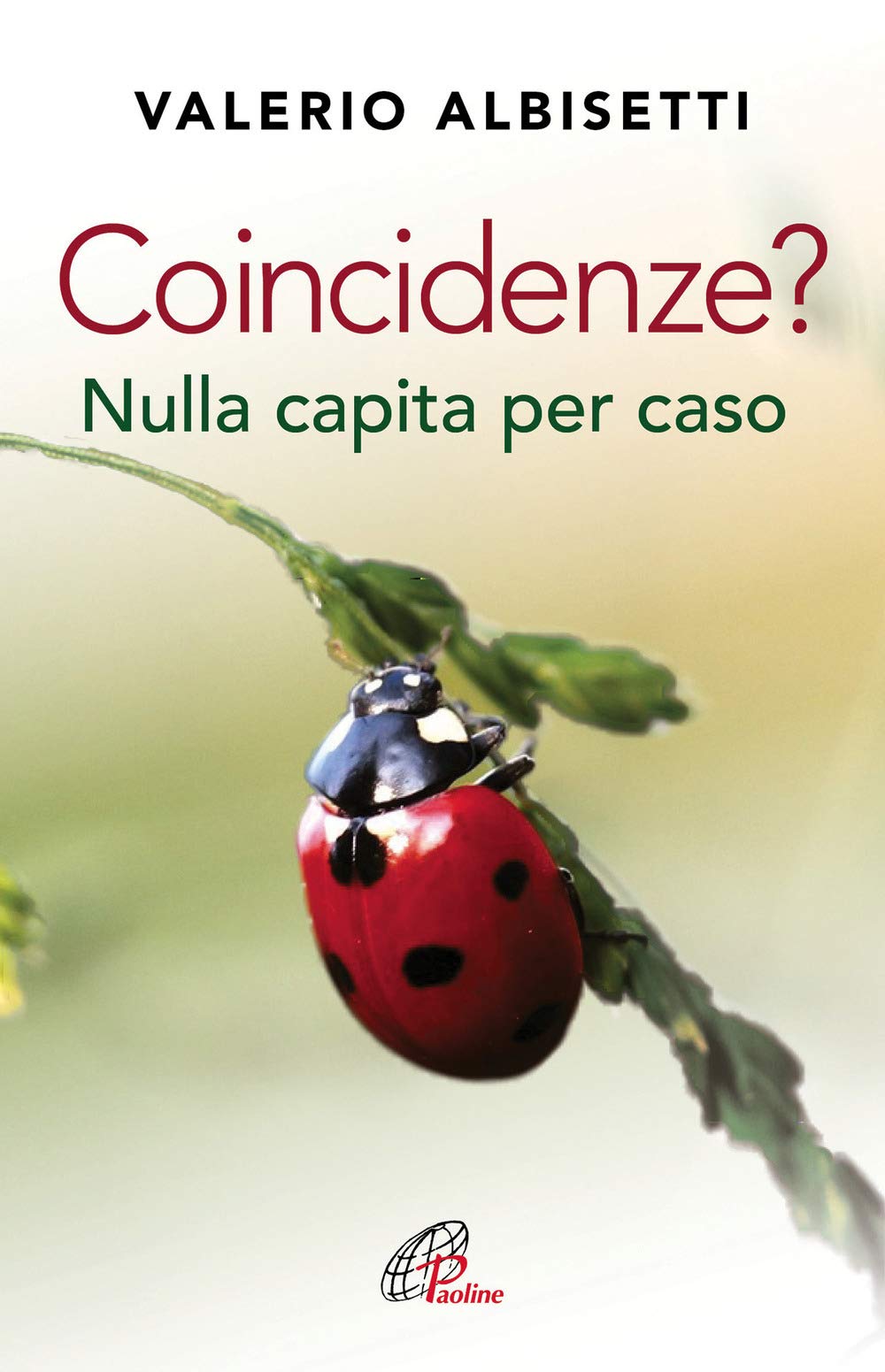 Coincidenze? Nulla capita per caso book